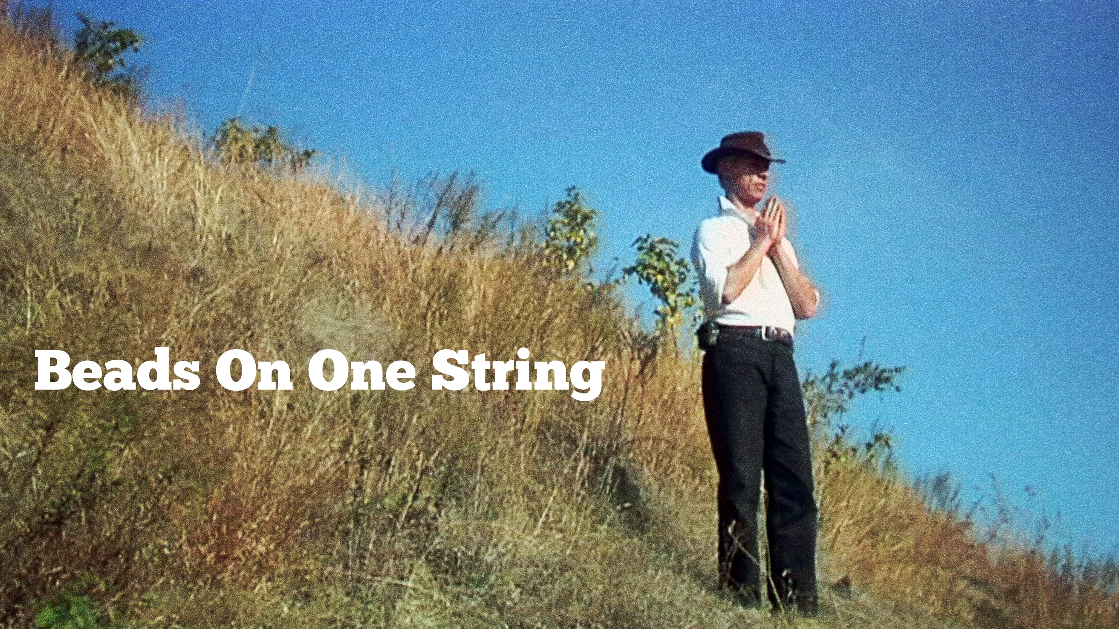 Beads on One String (2011)