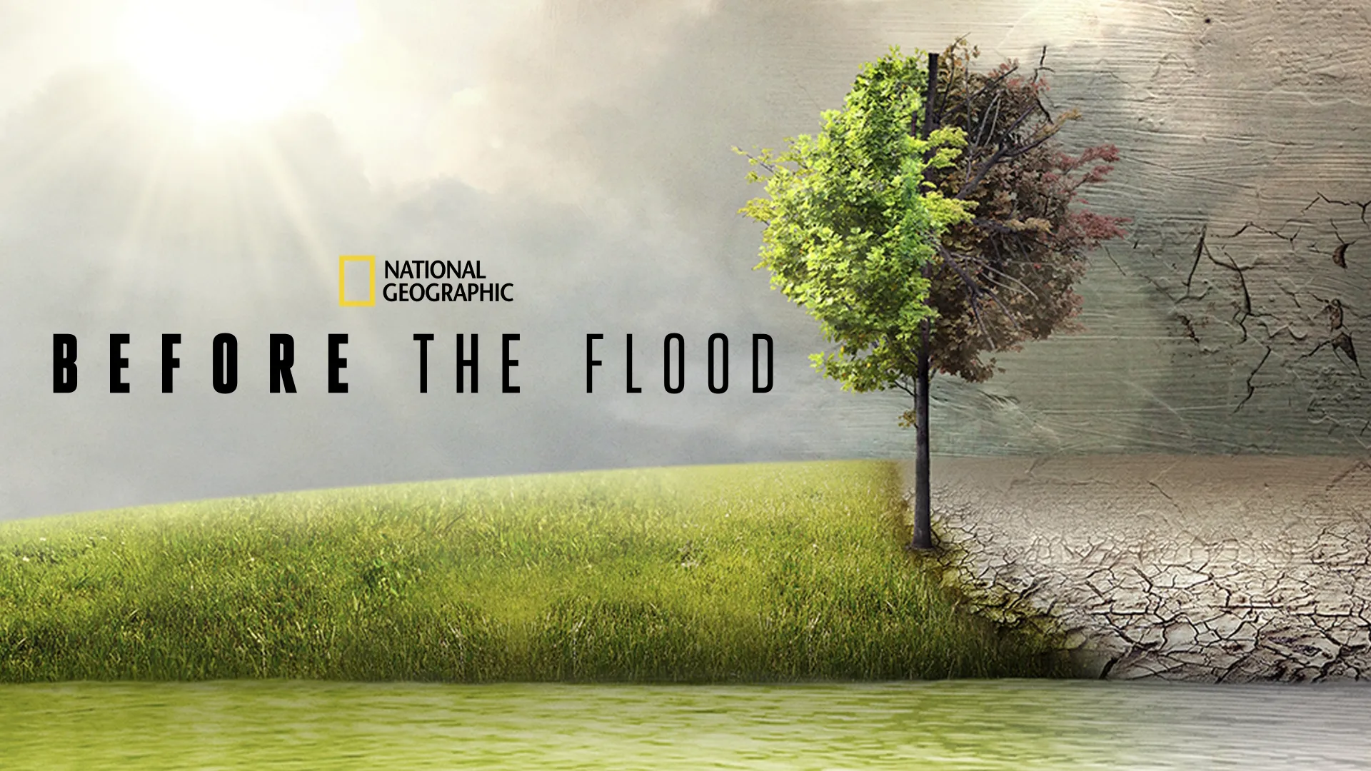 Before the Flood (2016)