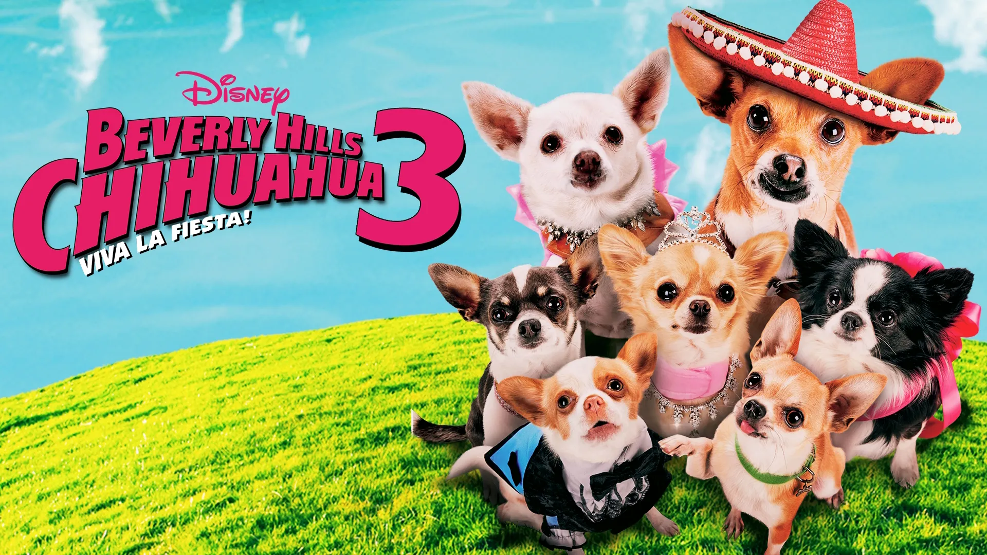 Beverly Hills Chihuahua 3: Viva La Fiesta! (2012)