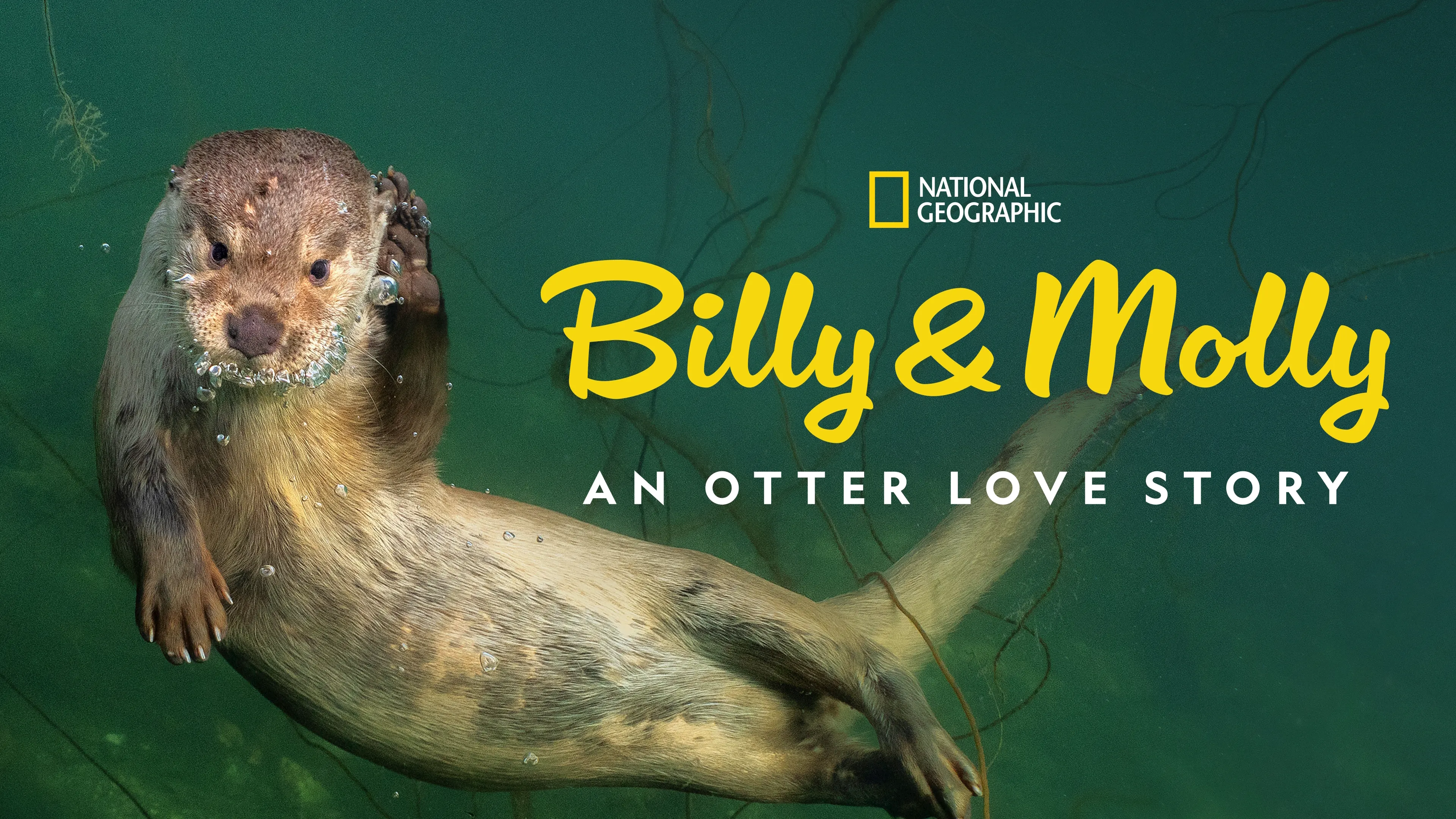 Billy & Molly: An Otter Love Story (2024)