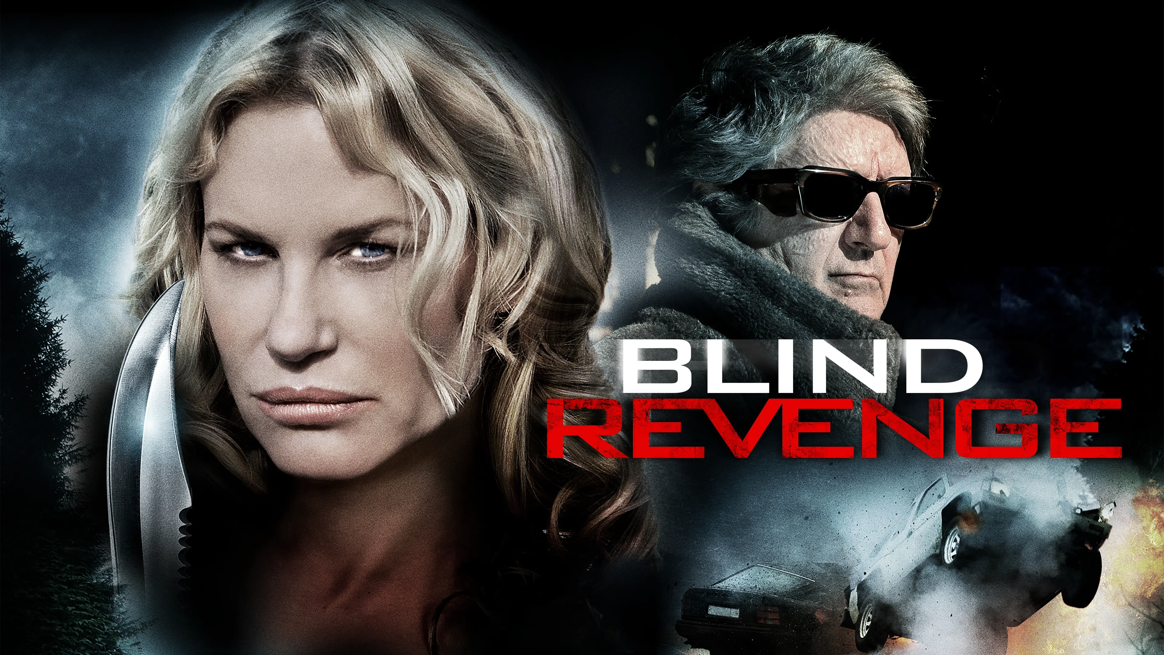 Blind Revenge (2010)