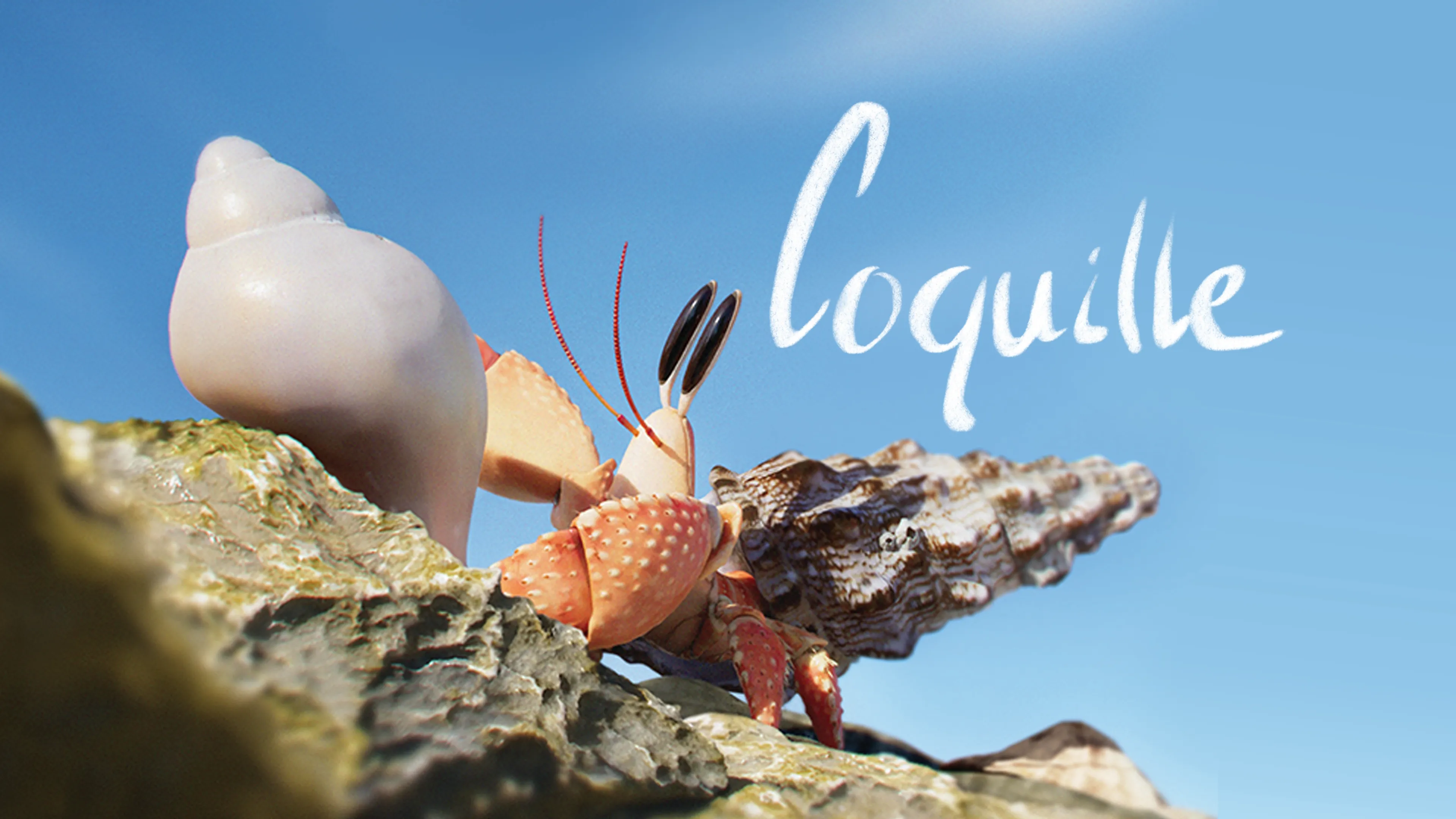 Coquille (2023)