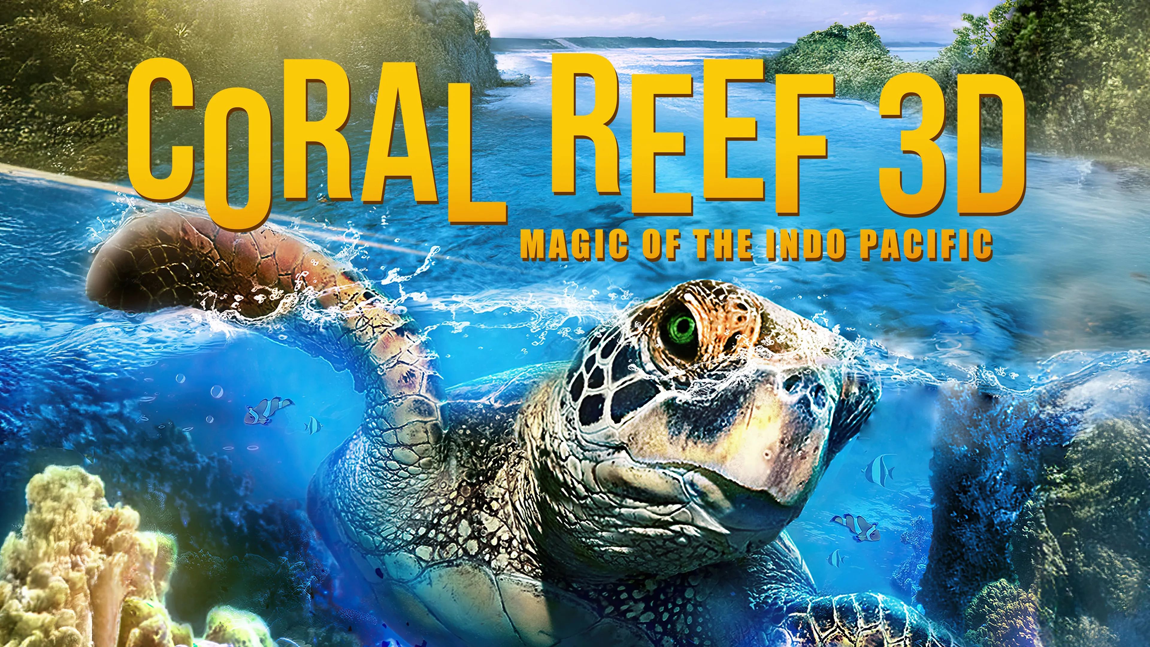 Coral Reef 3D: Magic of the Indo Pacific (2013)