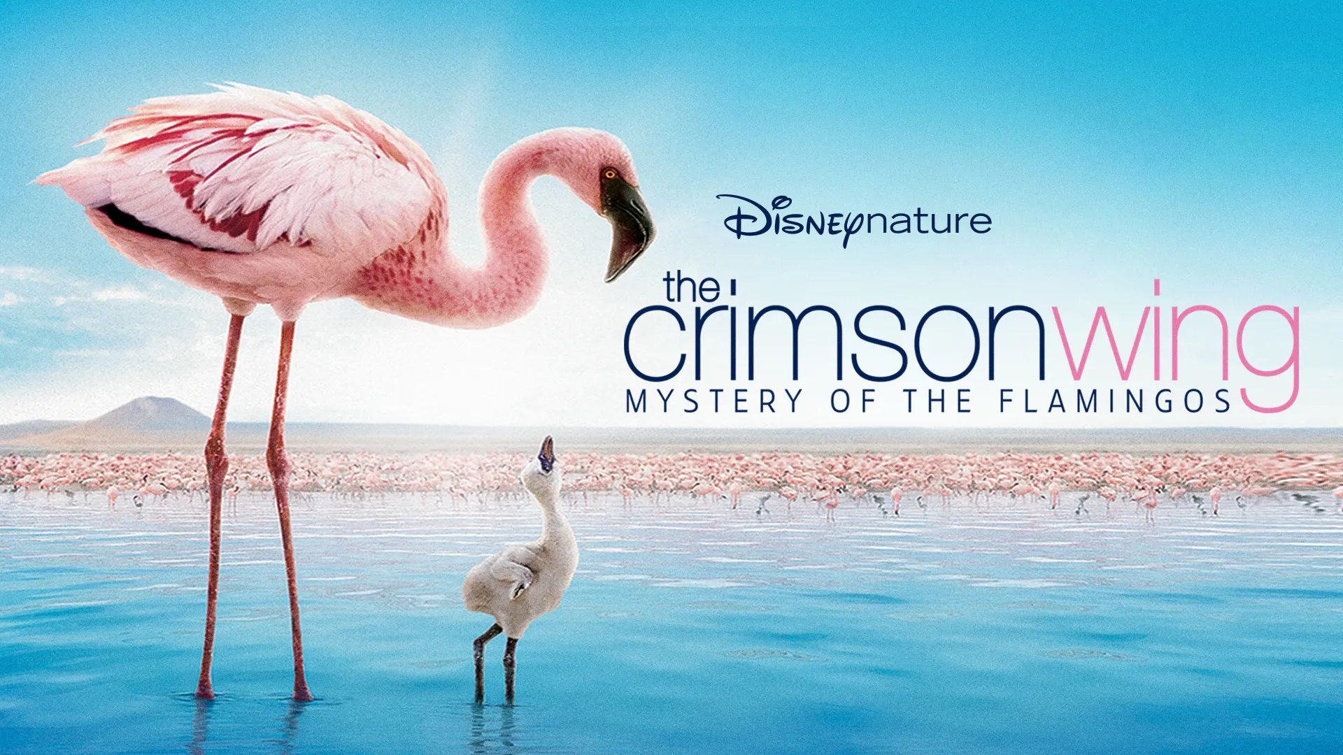 Crimson Wing (2008)