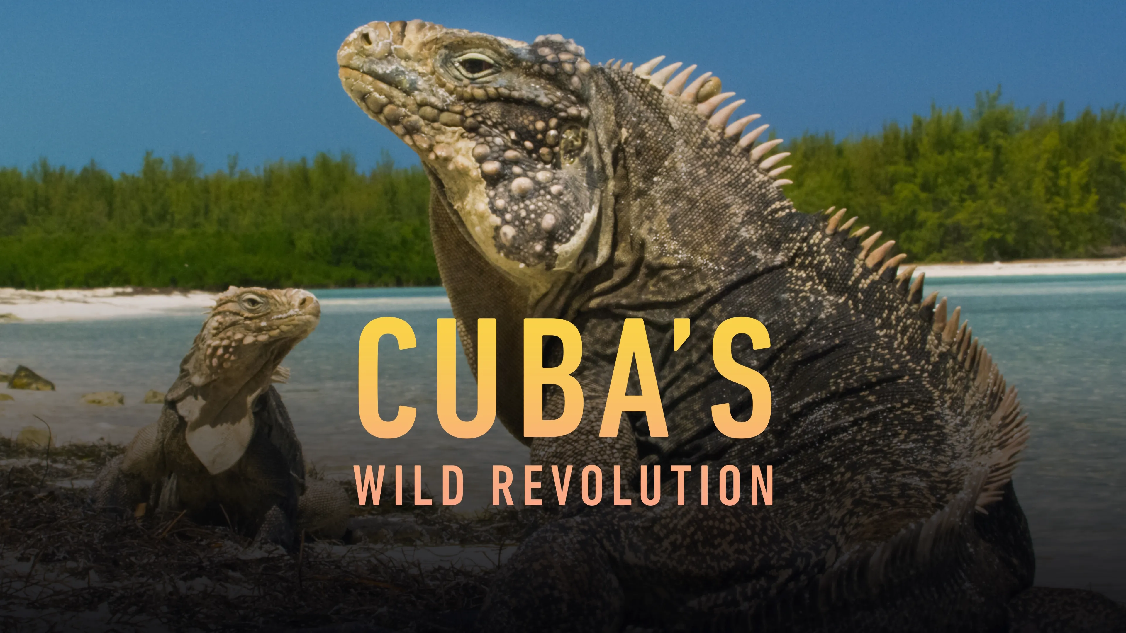 Cuba's Wild Revolution (2020)