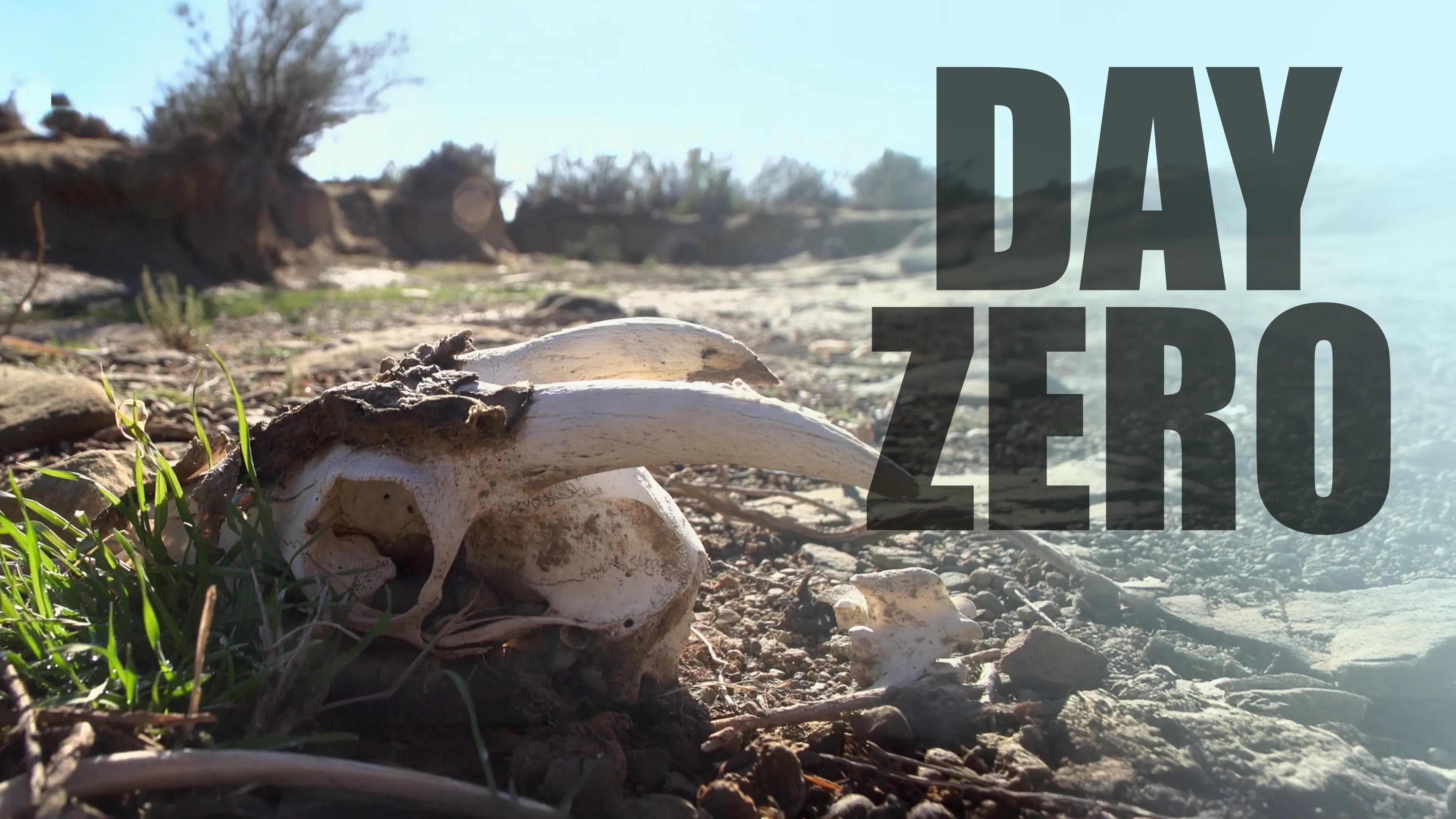 Day Zero (2019)