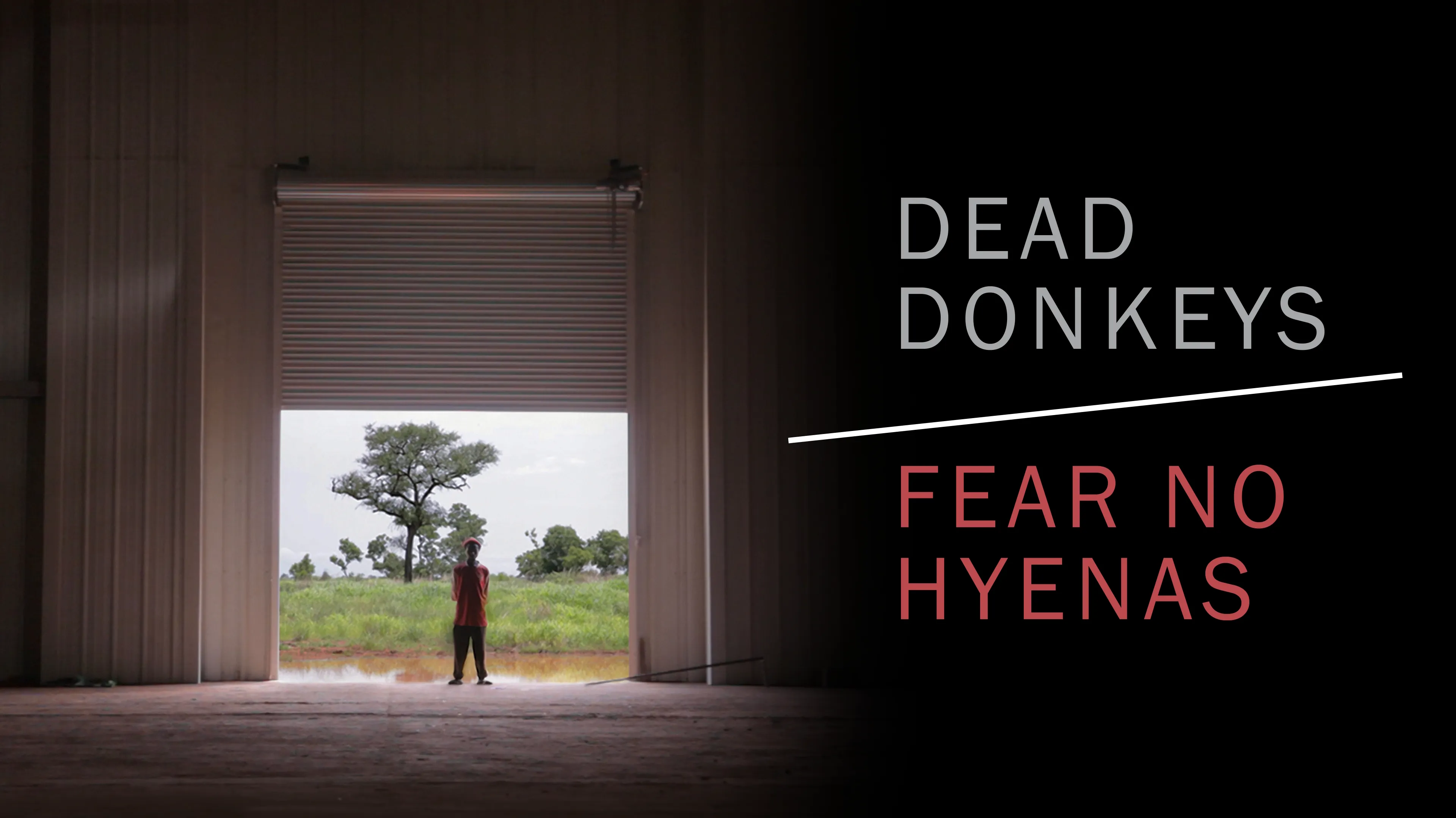Dead Donkeys Fear No Hyenas (2017)