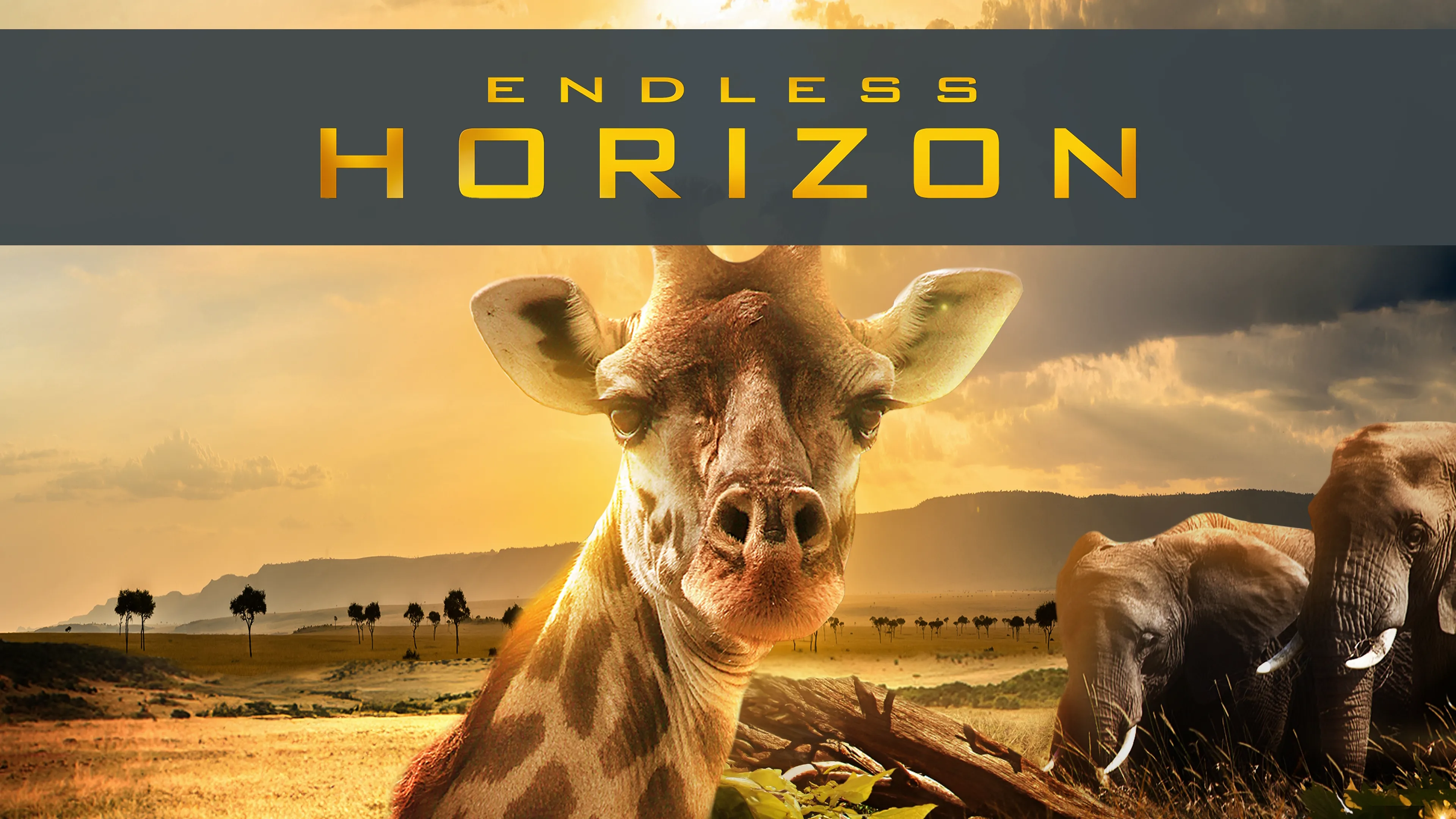 Endless Horizon (2012)