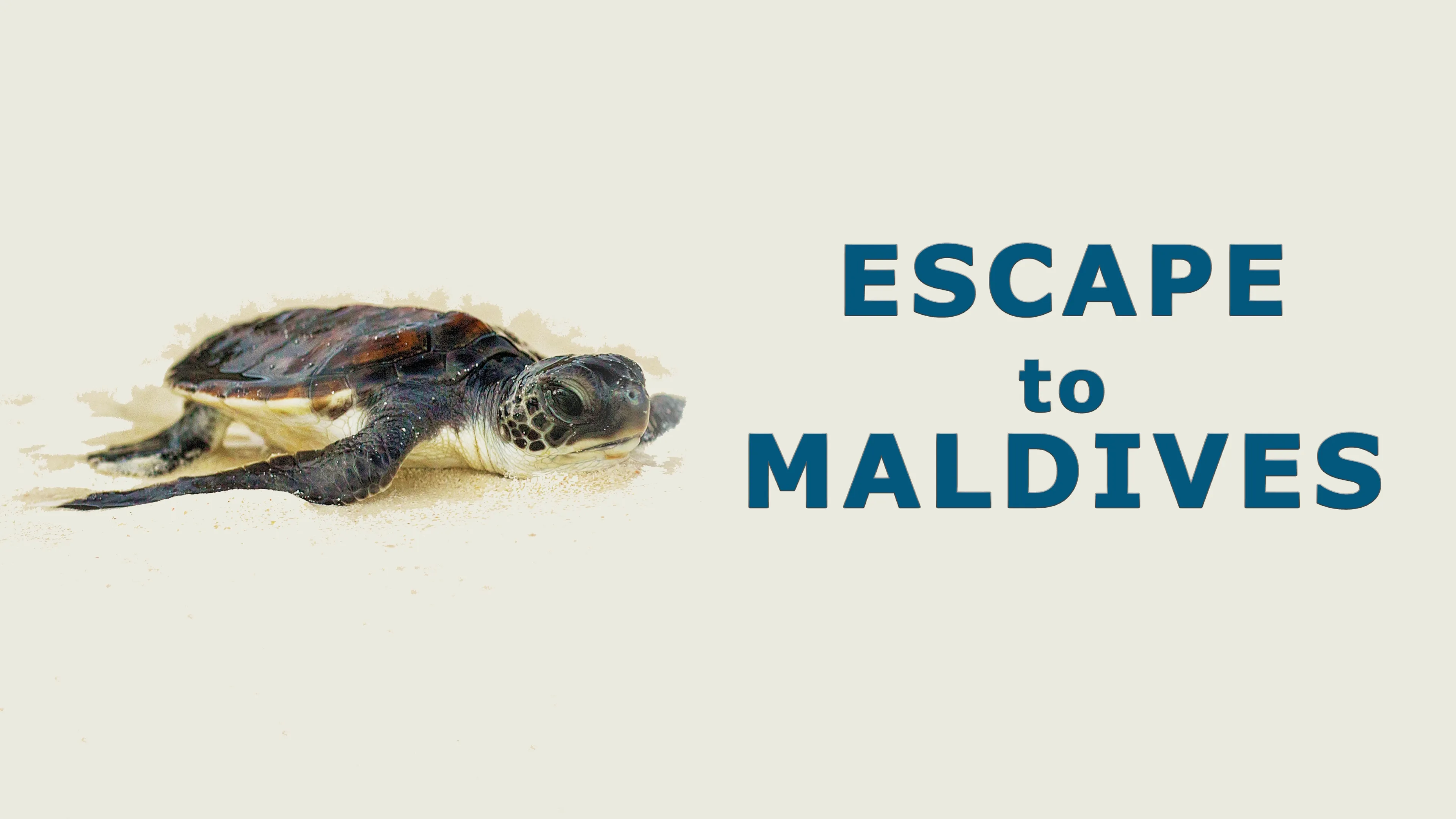 Escape to Maldives (2015)