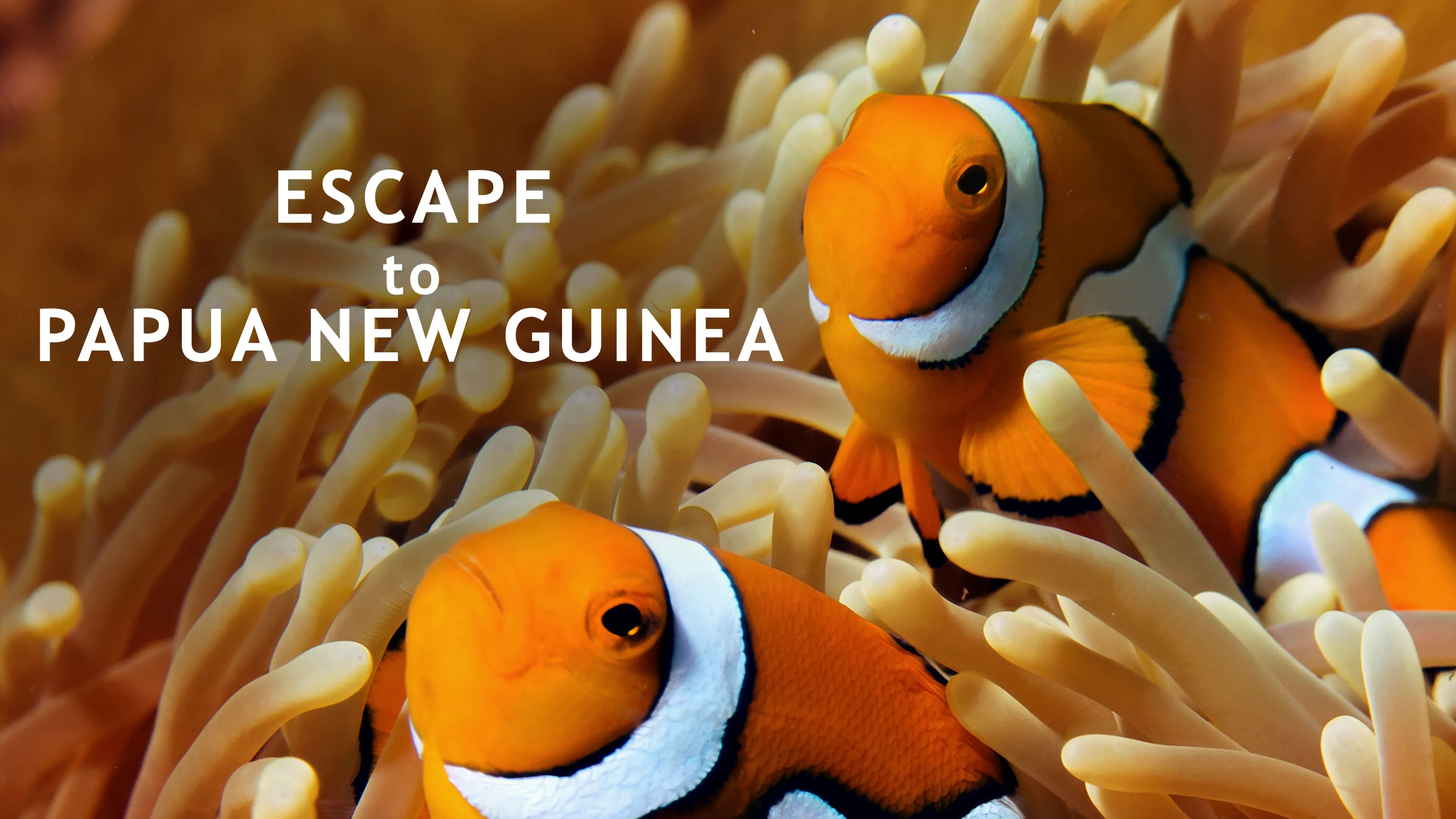 Escape to Papua New Guinea (2015)