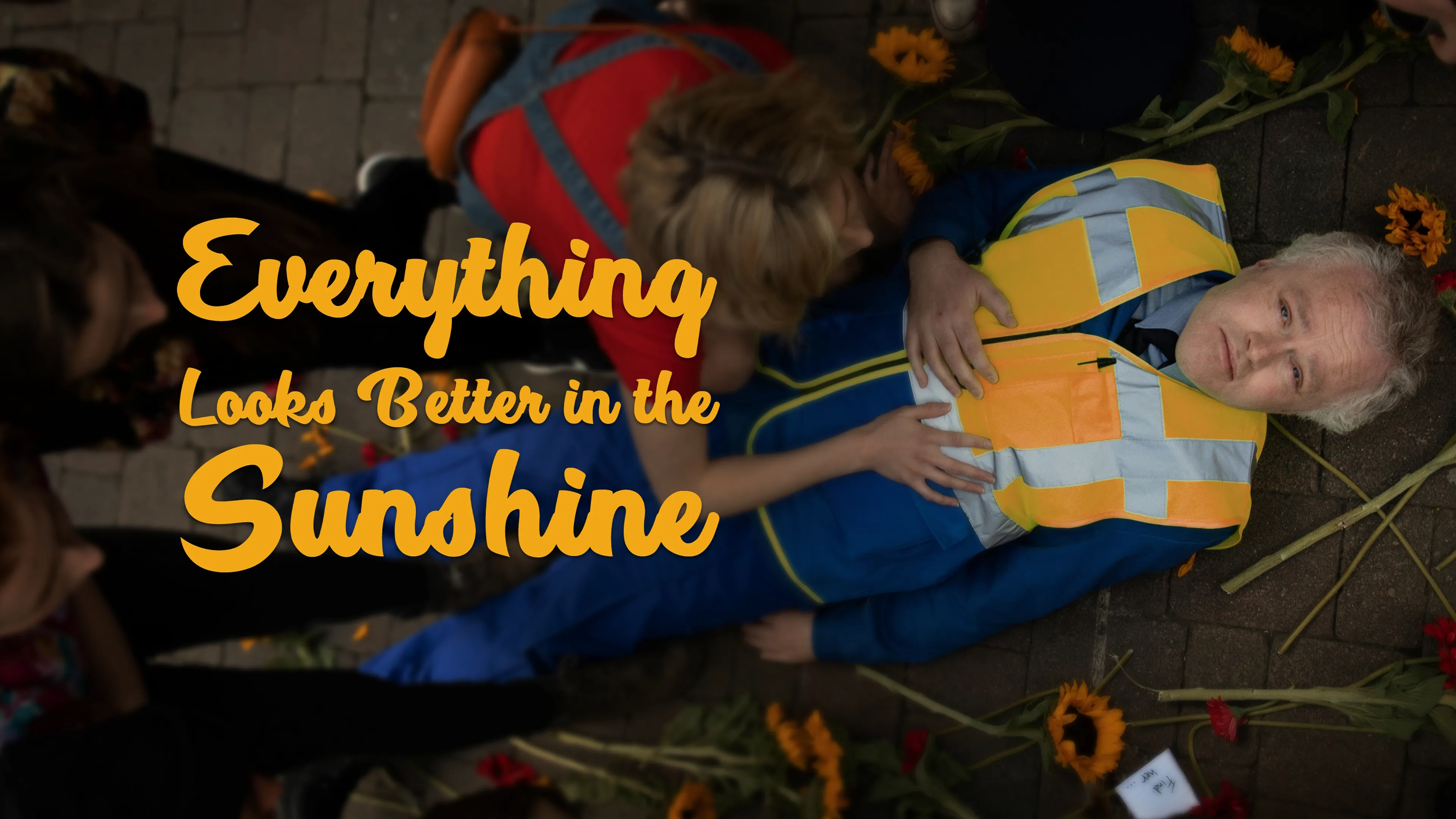 Everything Looks Better in the Sunshine (2019)