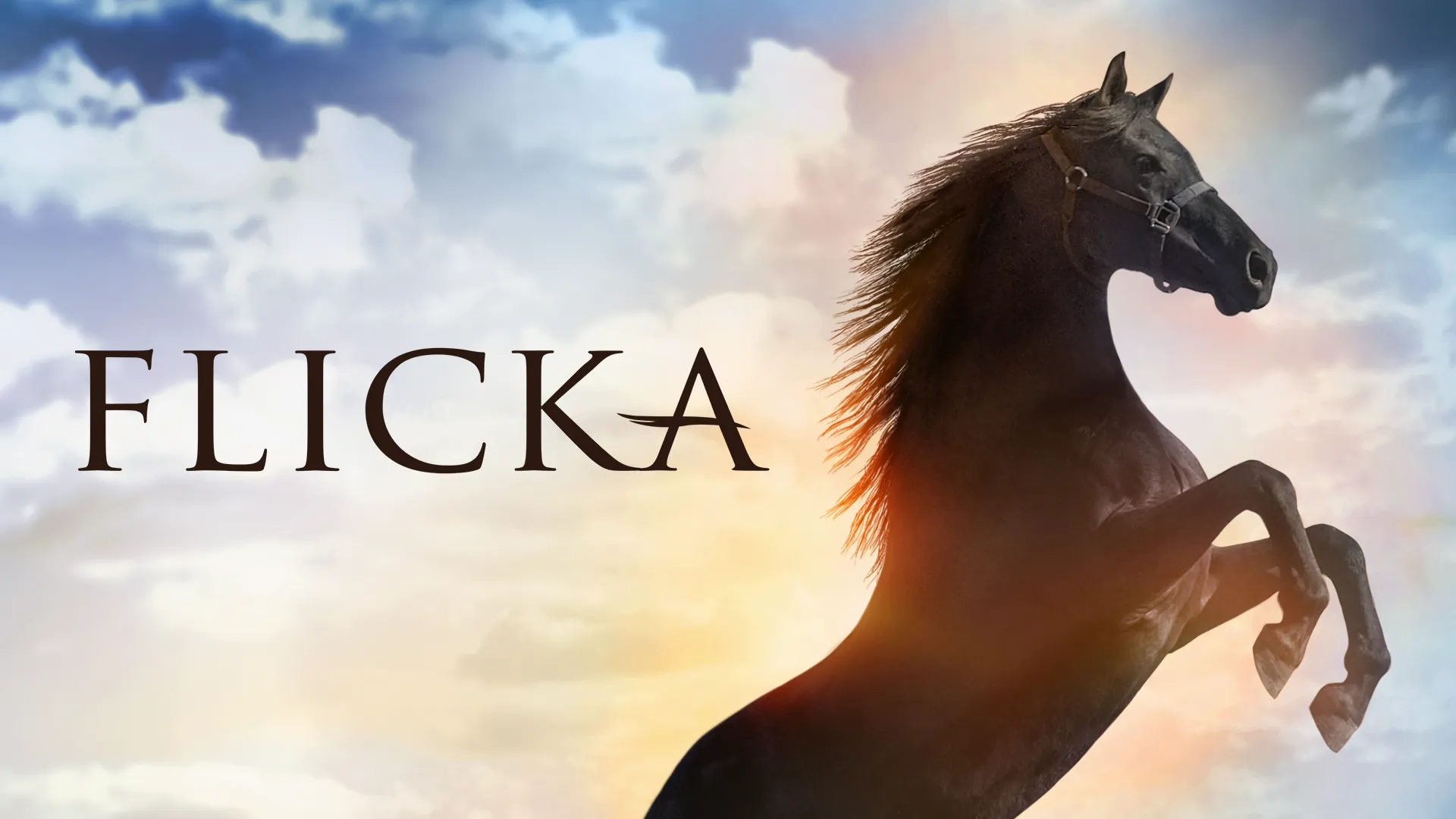 Flicka (2006)