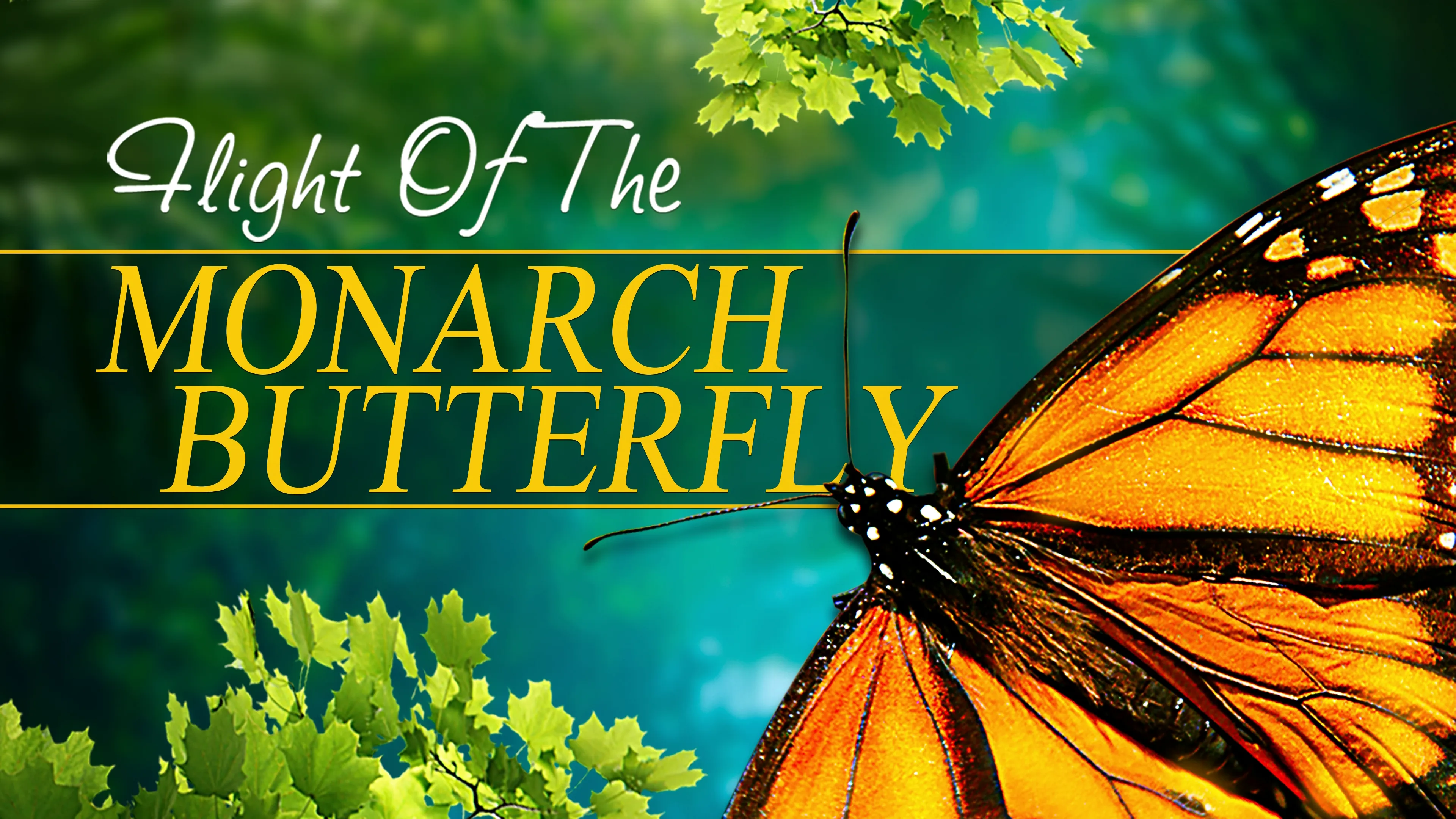 Flight of the Monarch Butterfly (2012)