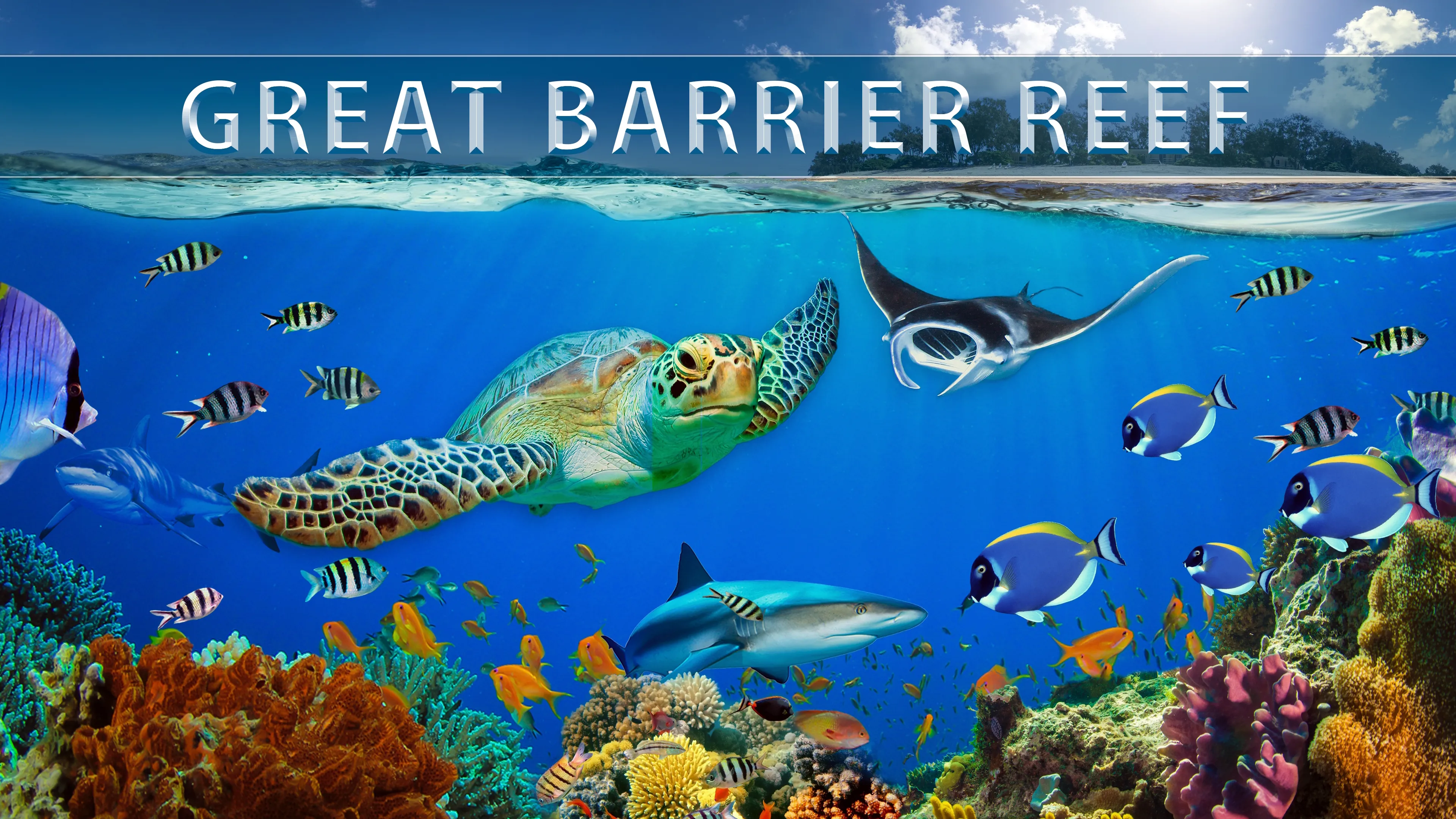 Great Barrier Reef (2018)