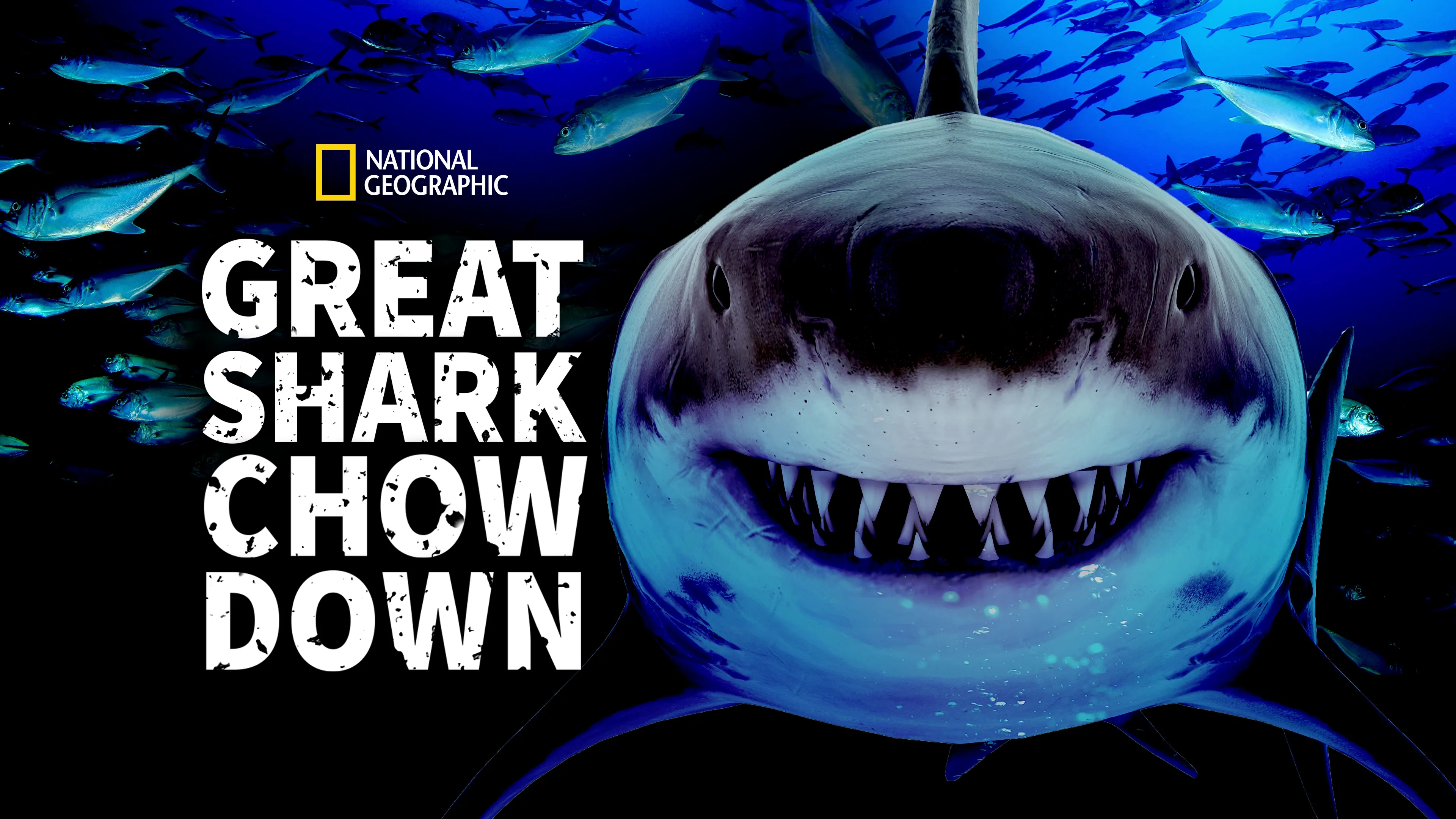 Great Shark Chow Down (2019)