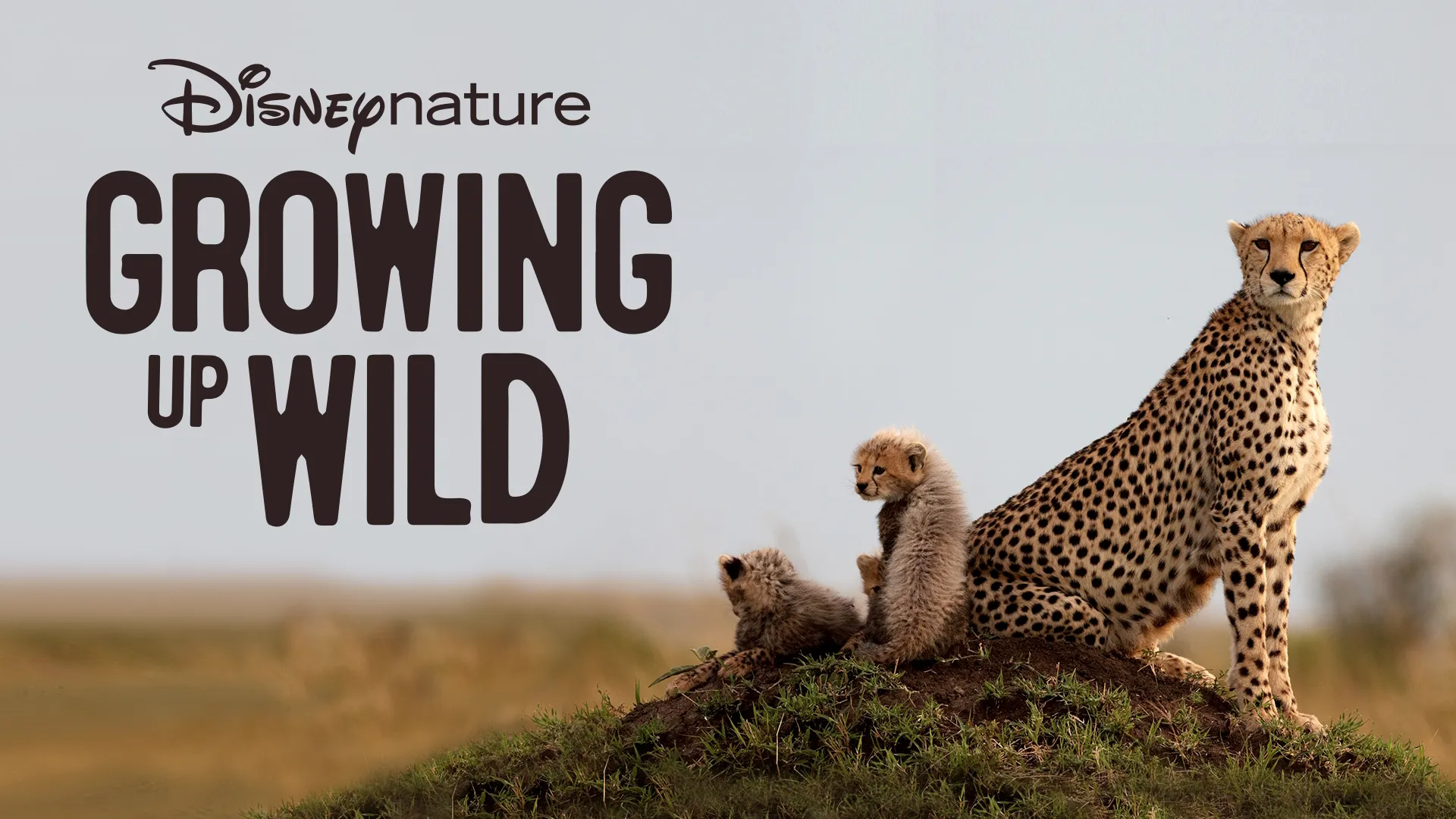 Growing Up Wild (2016)