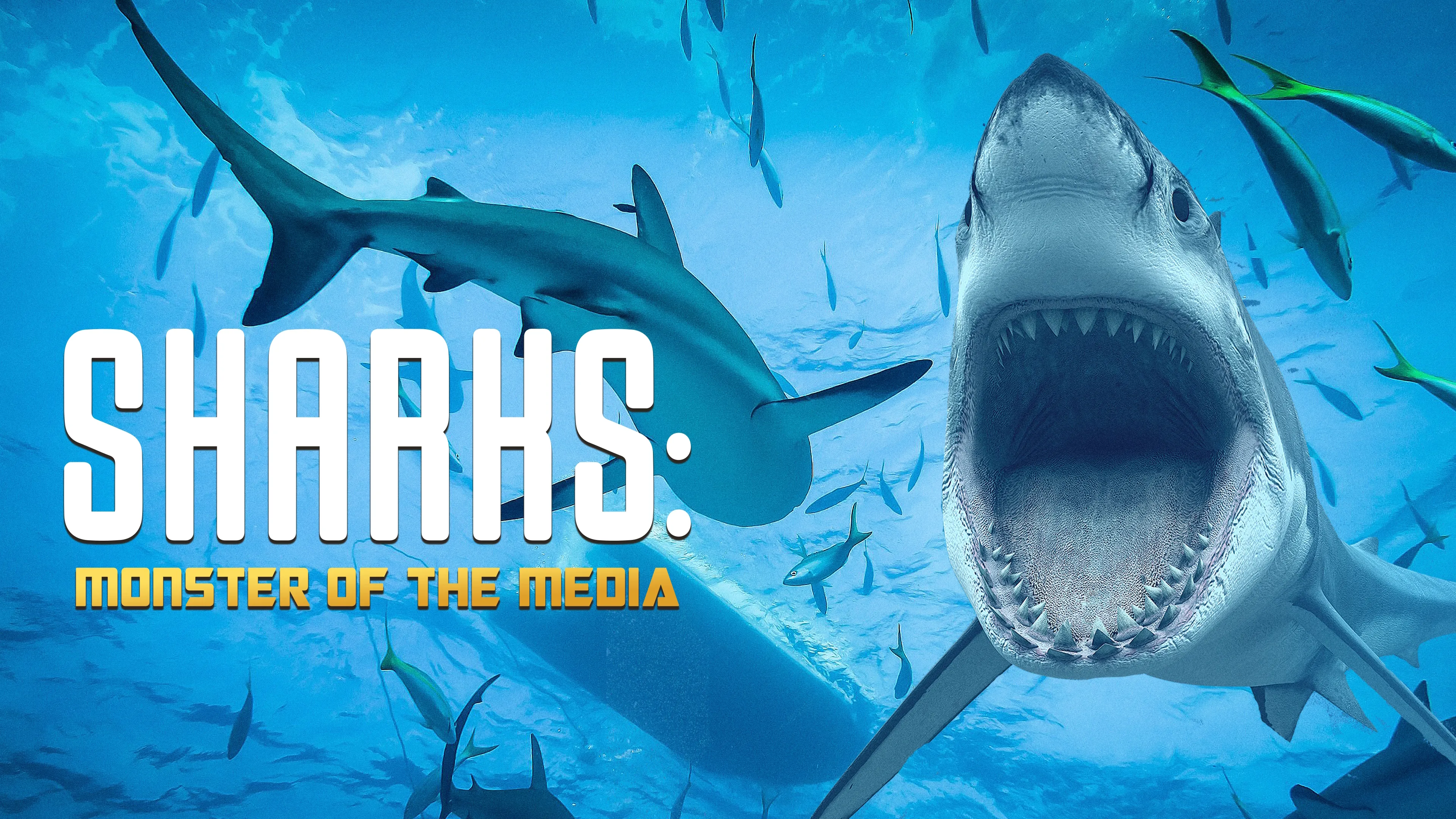 Haie: Monster Der Medien (2019)