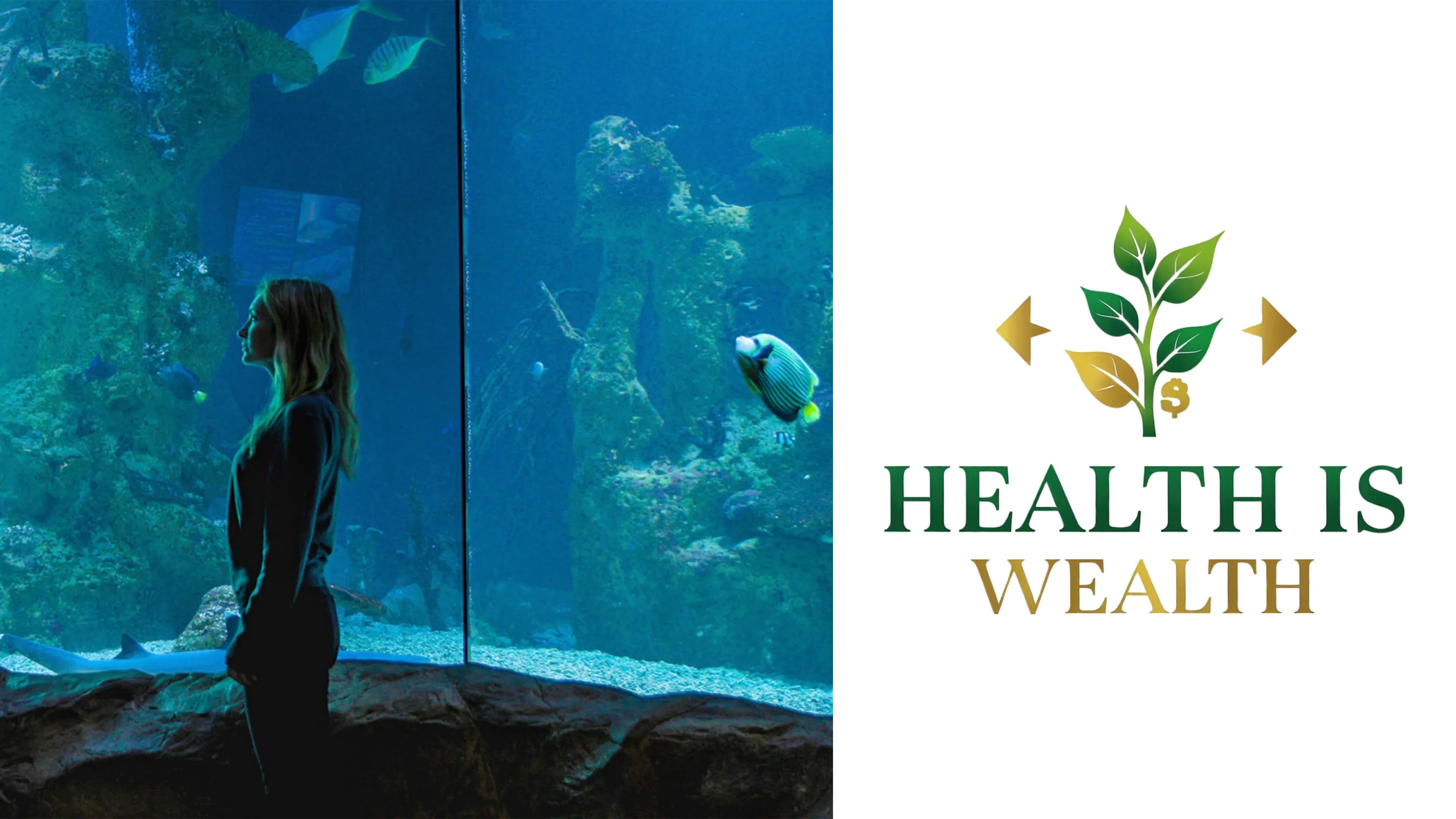 Health is Wealth (2018)