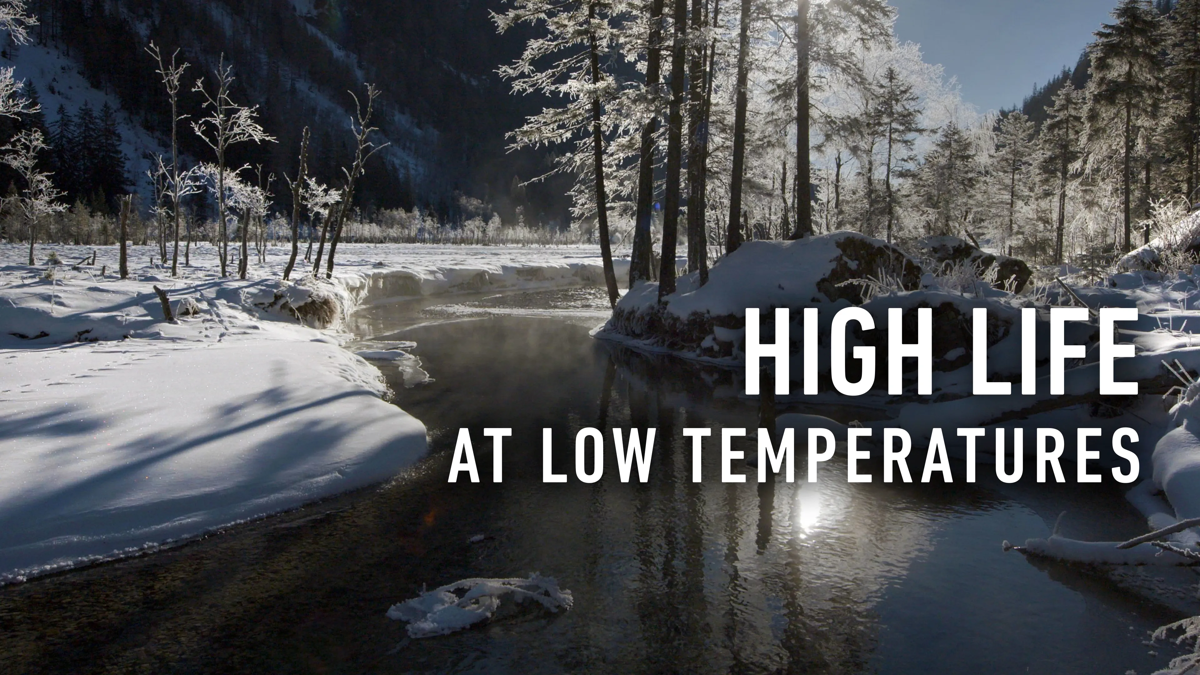 High Life at Low Temperatures (2017)
