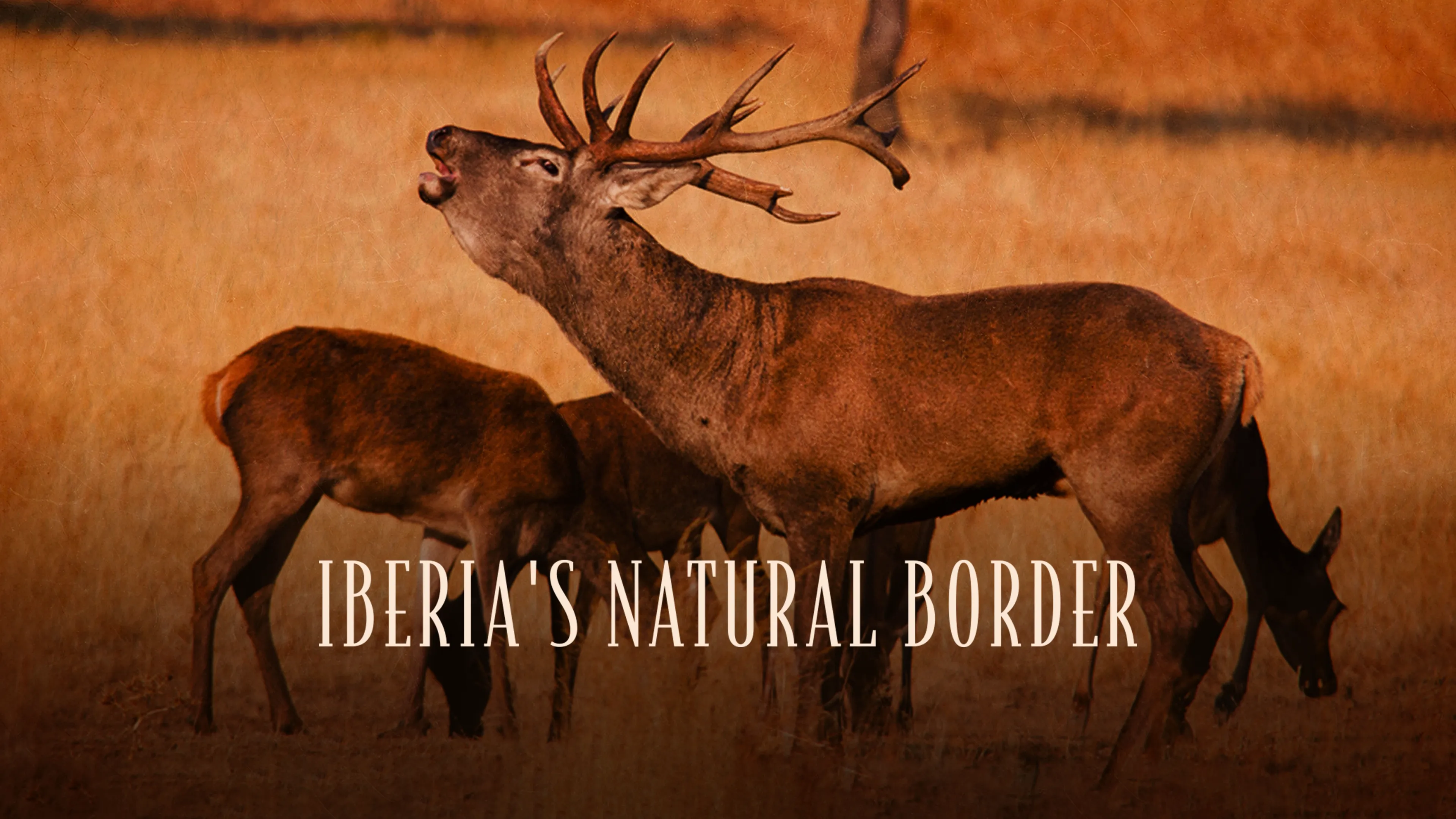 Iberia's Natural Border (2015)