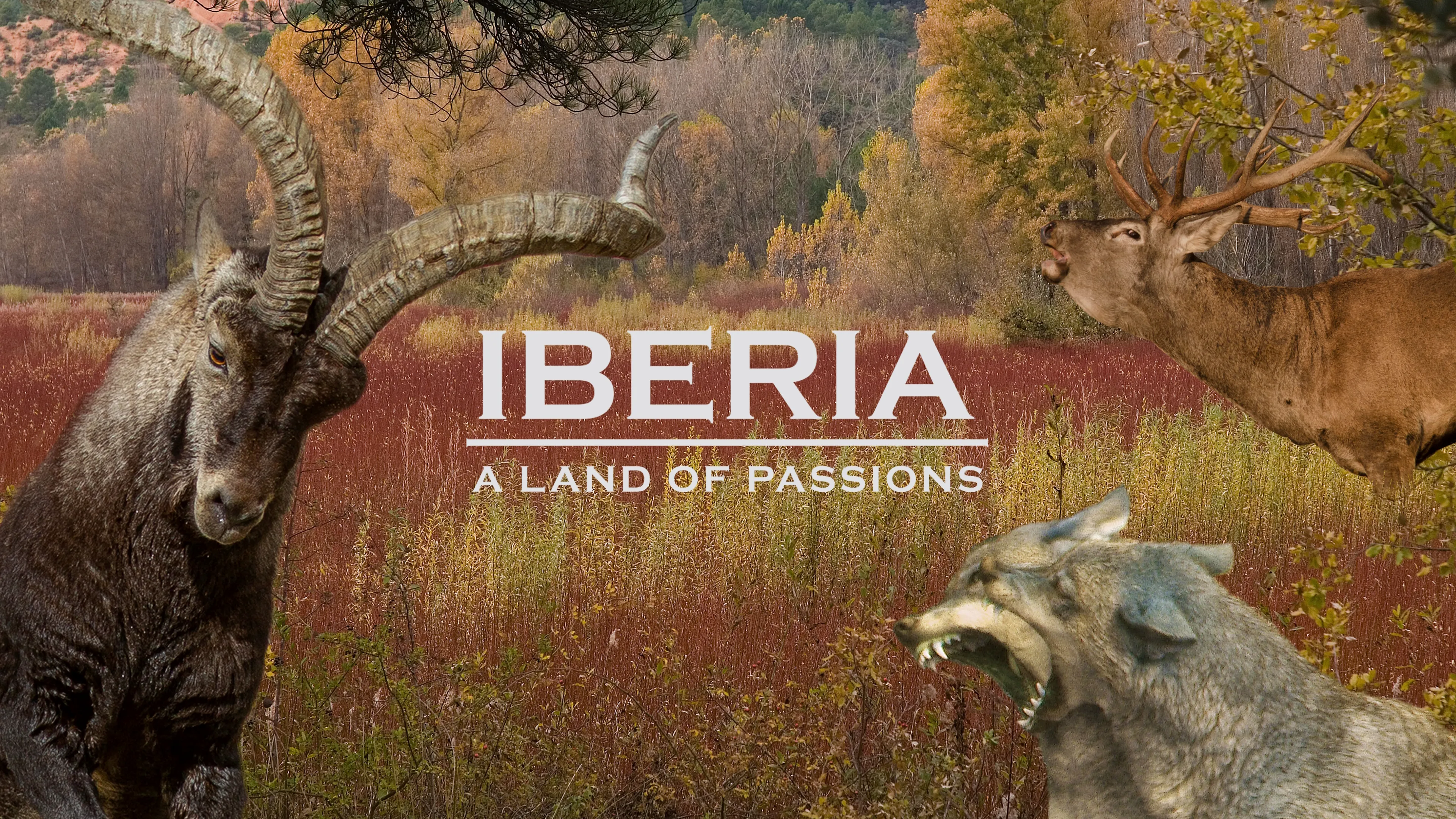 Iberia, a Land of Passions (2020)