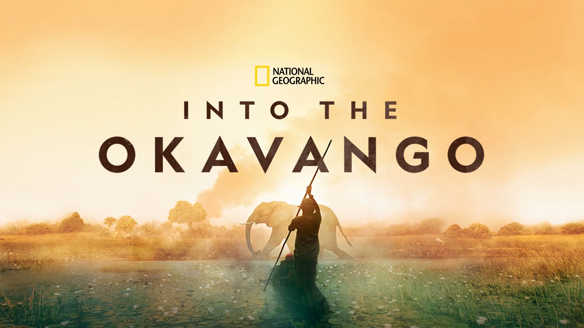 Into the Okavango (2018)