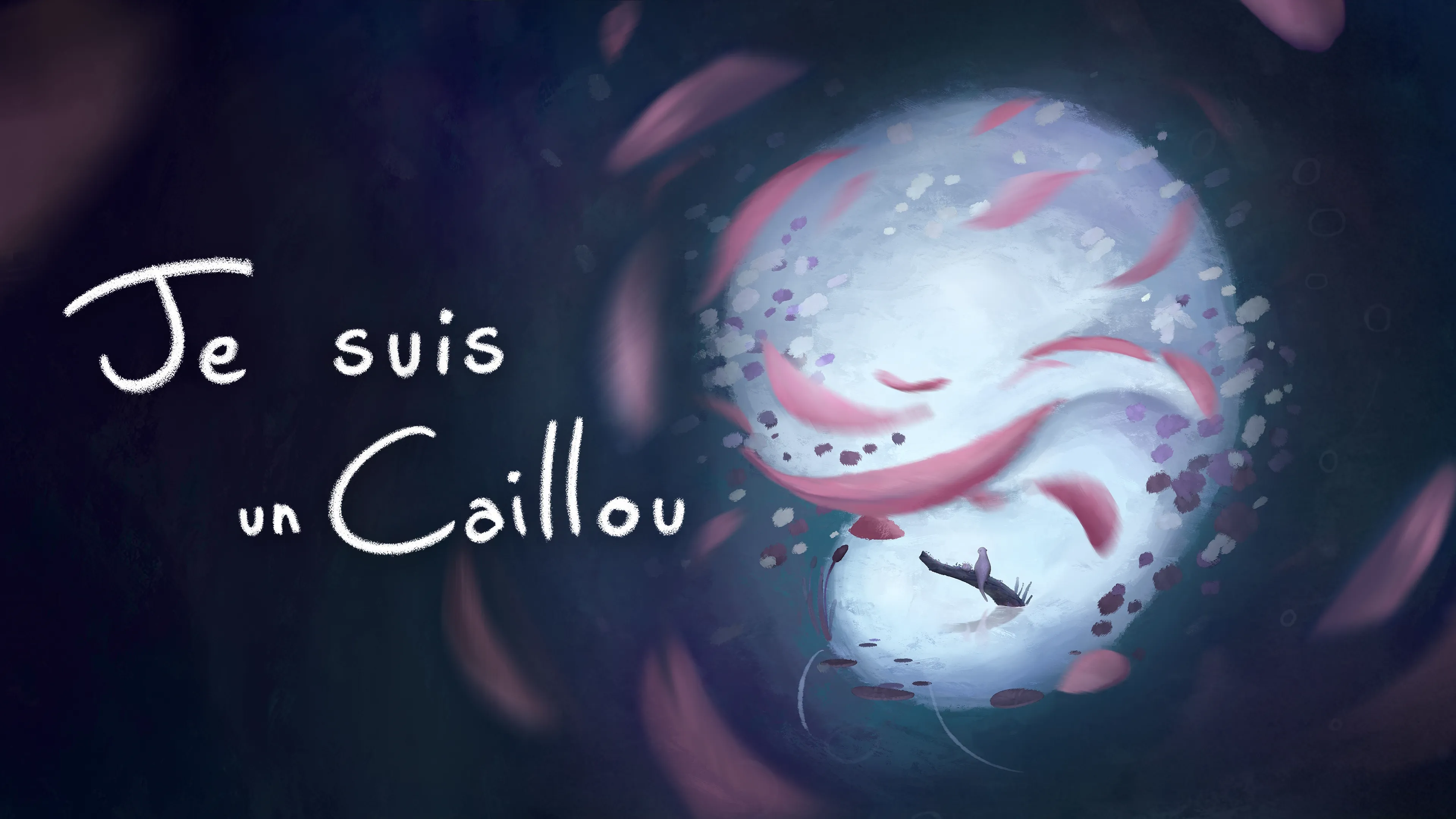 Je Suis Un Caillou (2021)