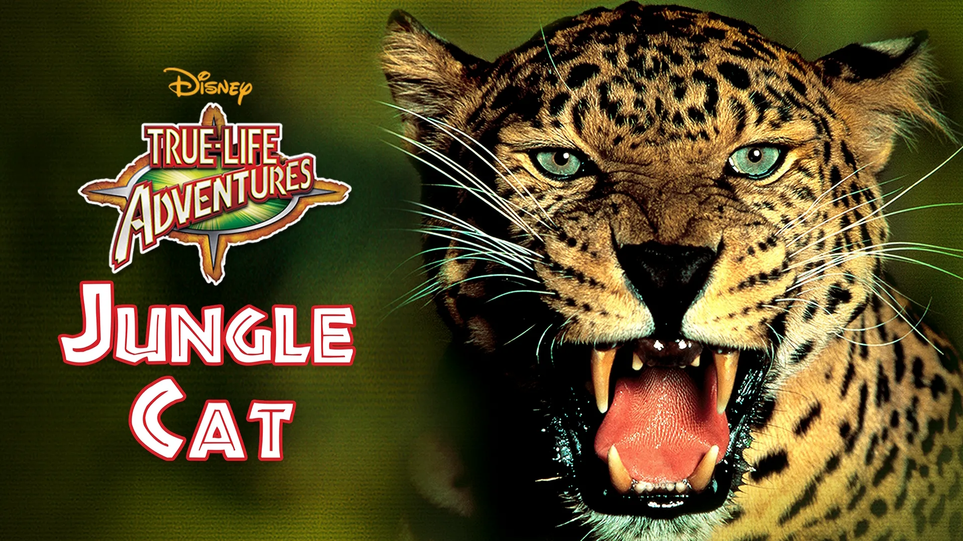 Jungle Cat (1959)