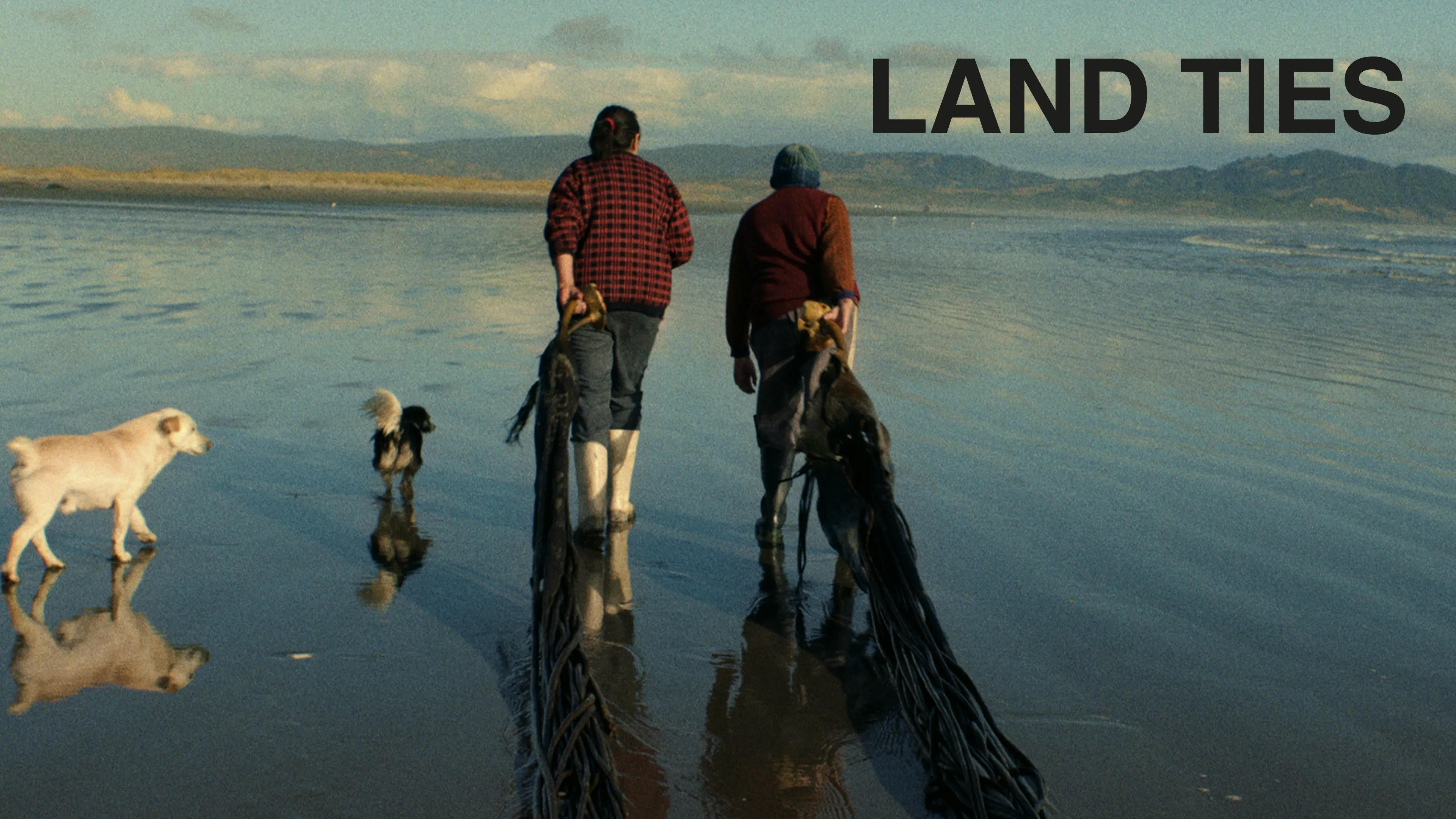 Land Ties (2015)