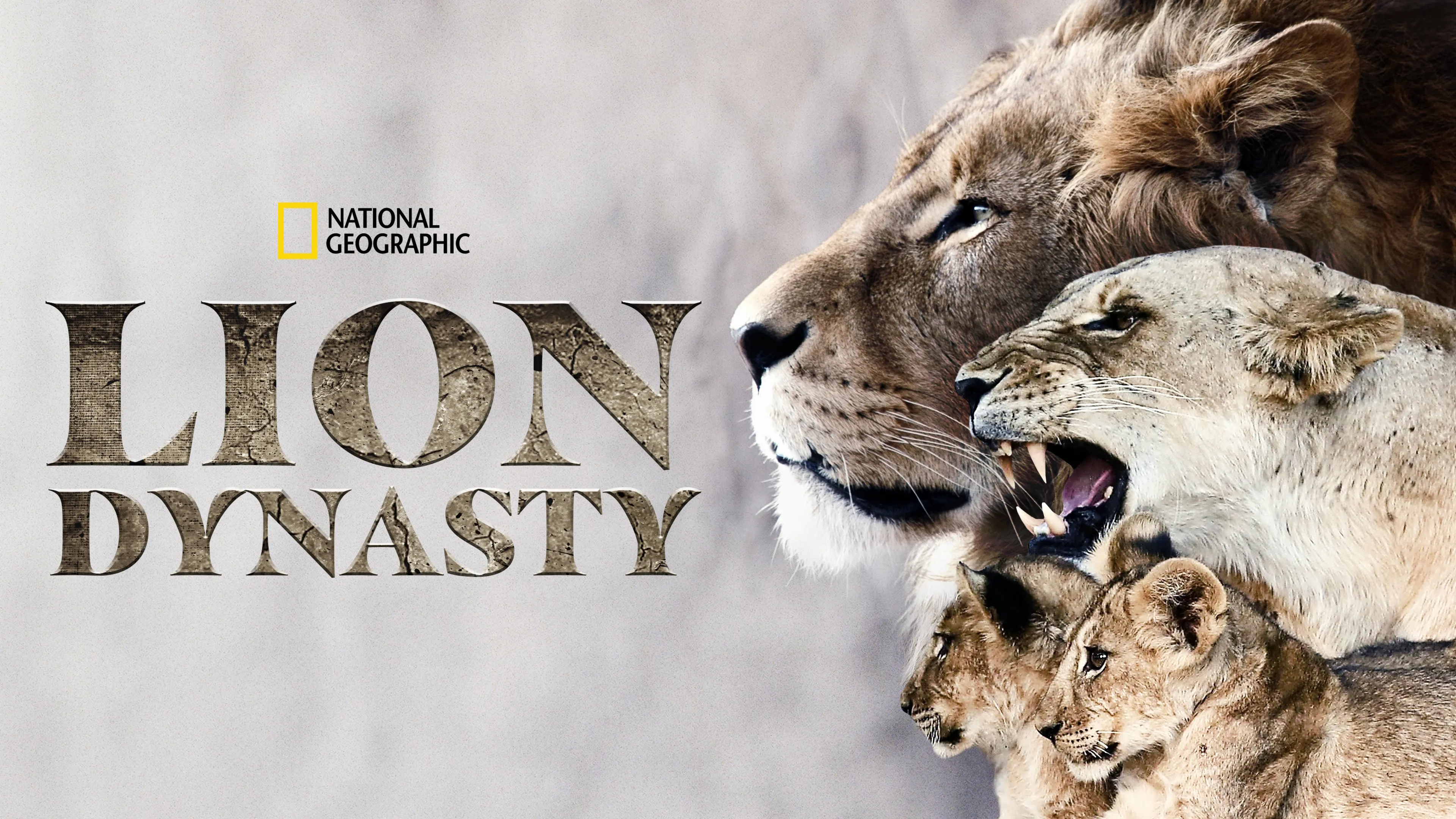 Lion Dynasty (2021)