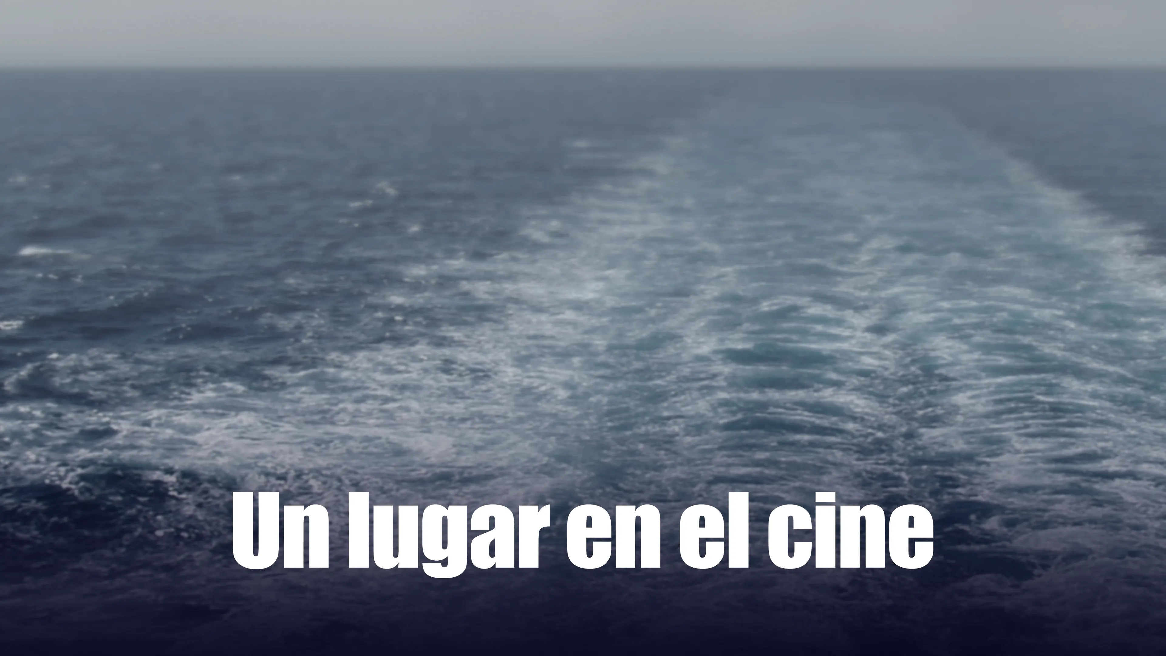 Lugar En El Cine, Un (2008)
