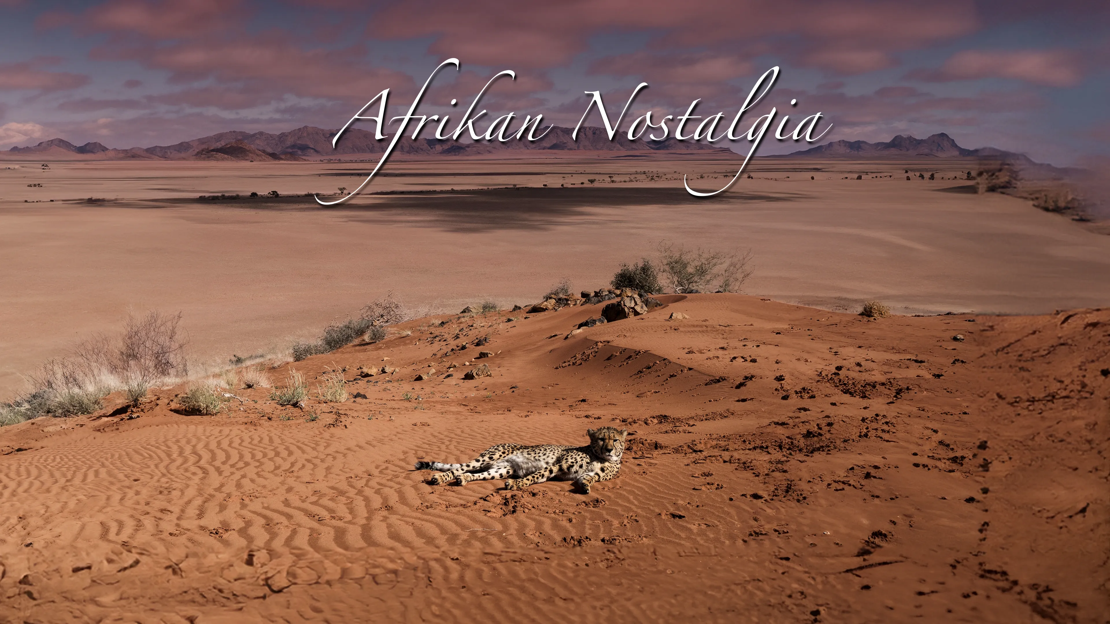 Mal d'Africa (2016)