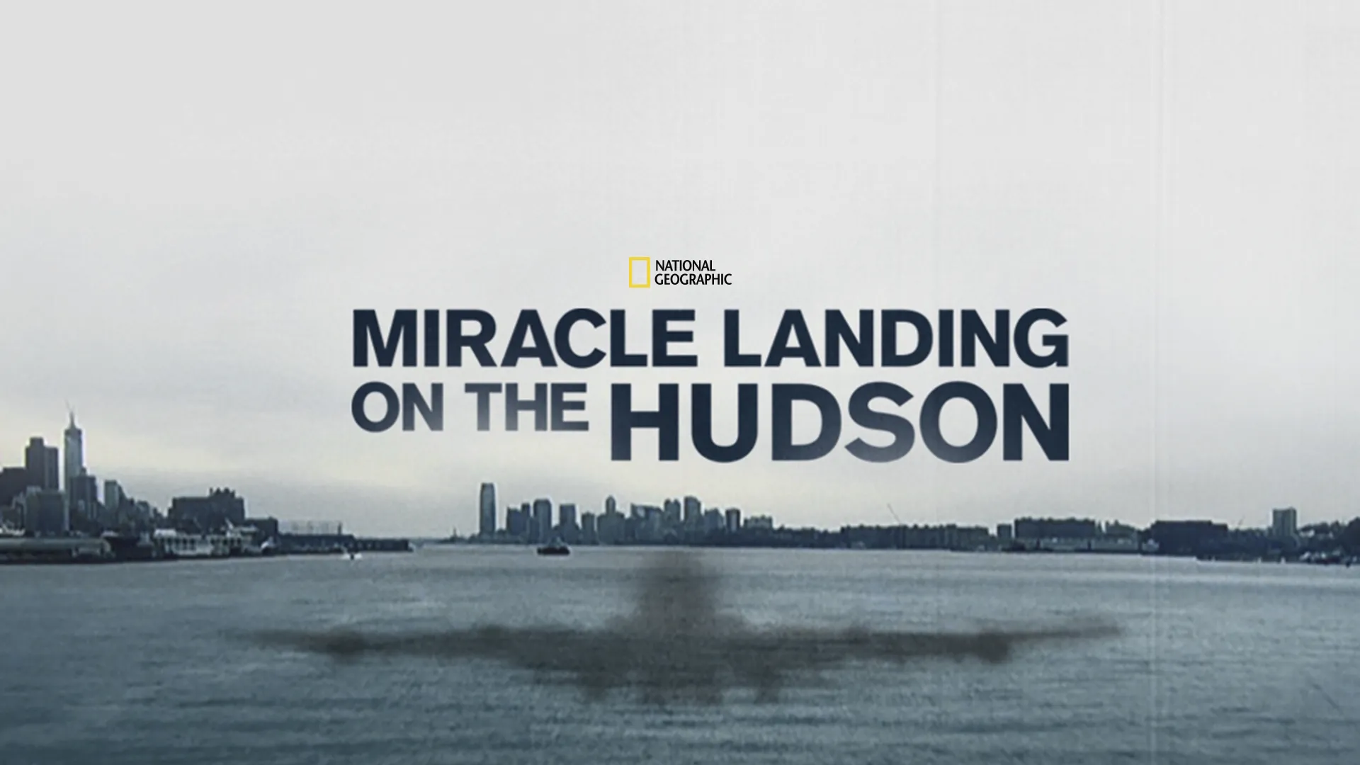Miracle Landing on the Hudson (2014)