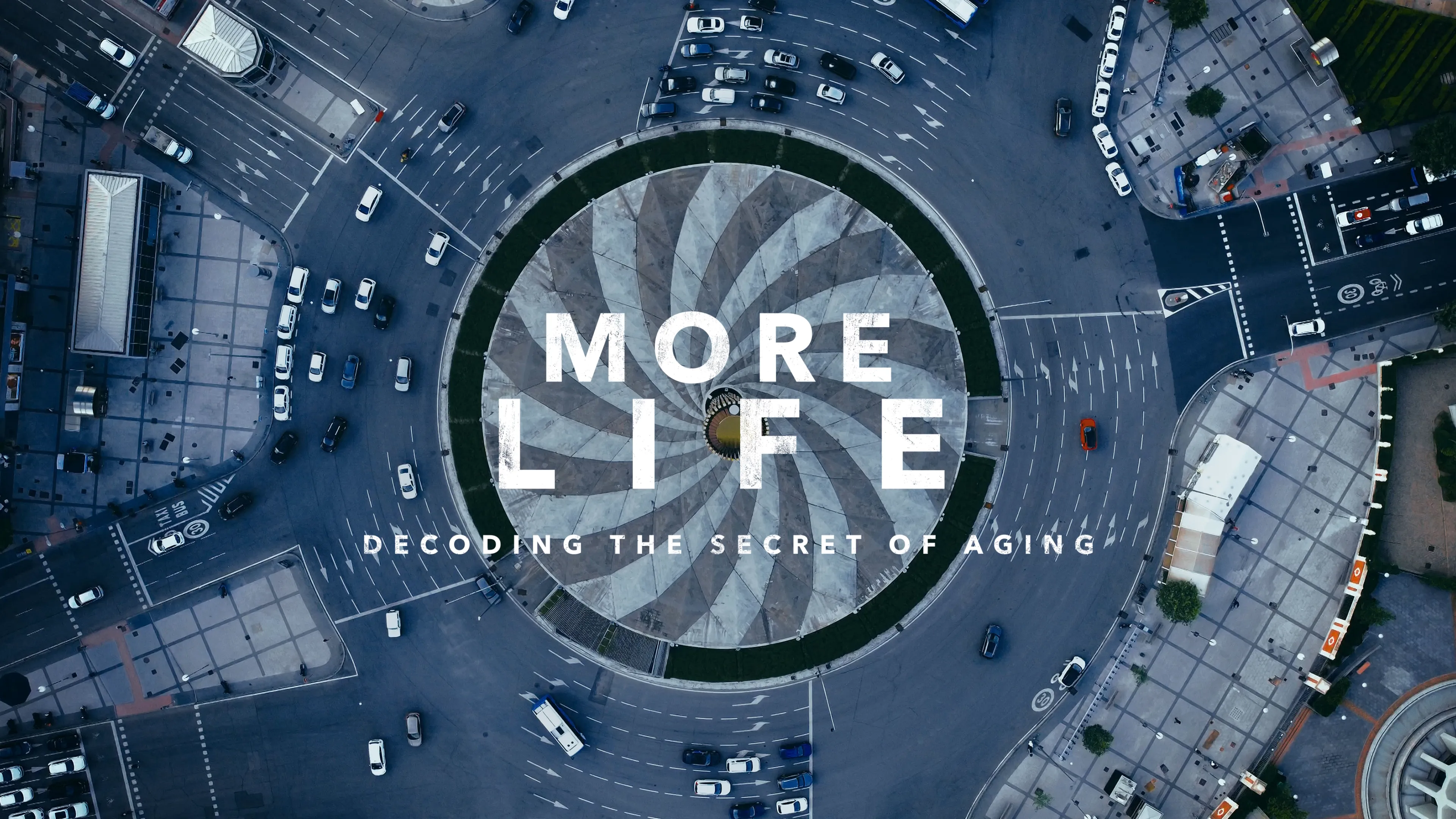 More Life - Decoding the Secret of Aging (2021)