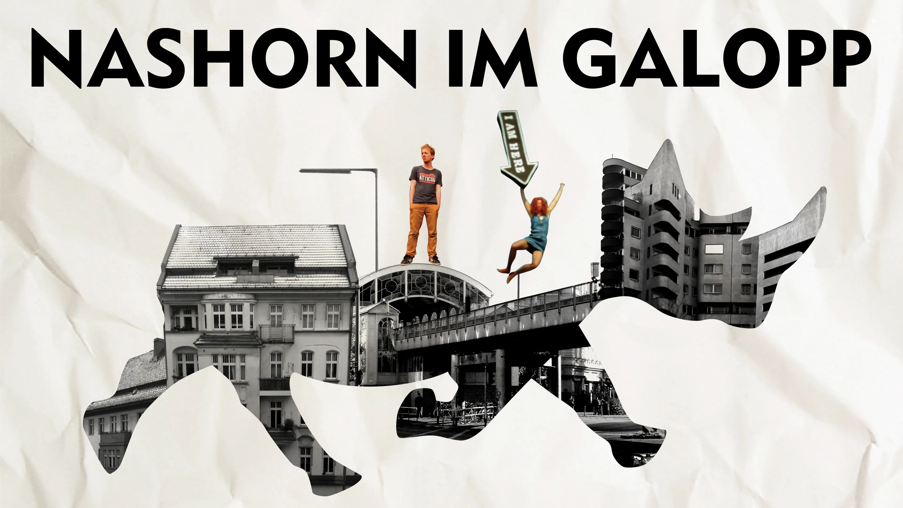 Nashorn im Galopp (2013)