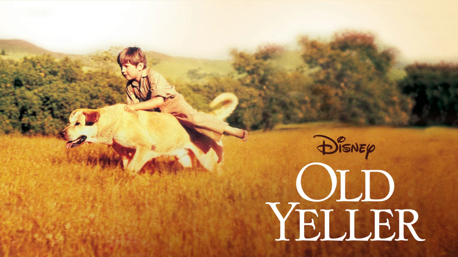 Old Yeller (1957)