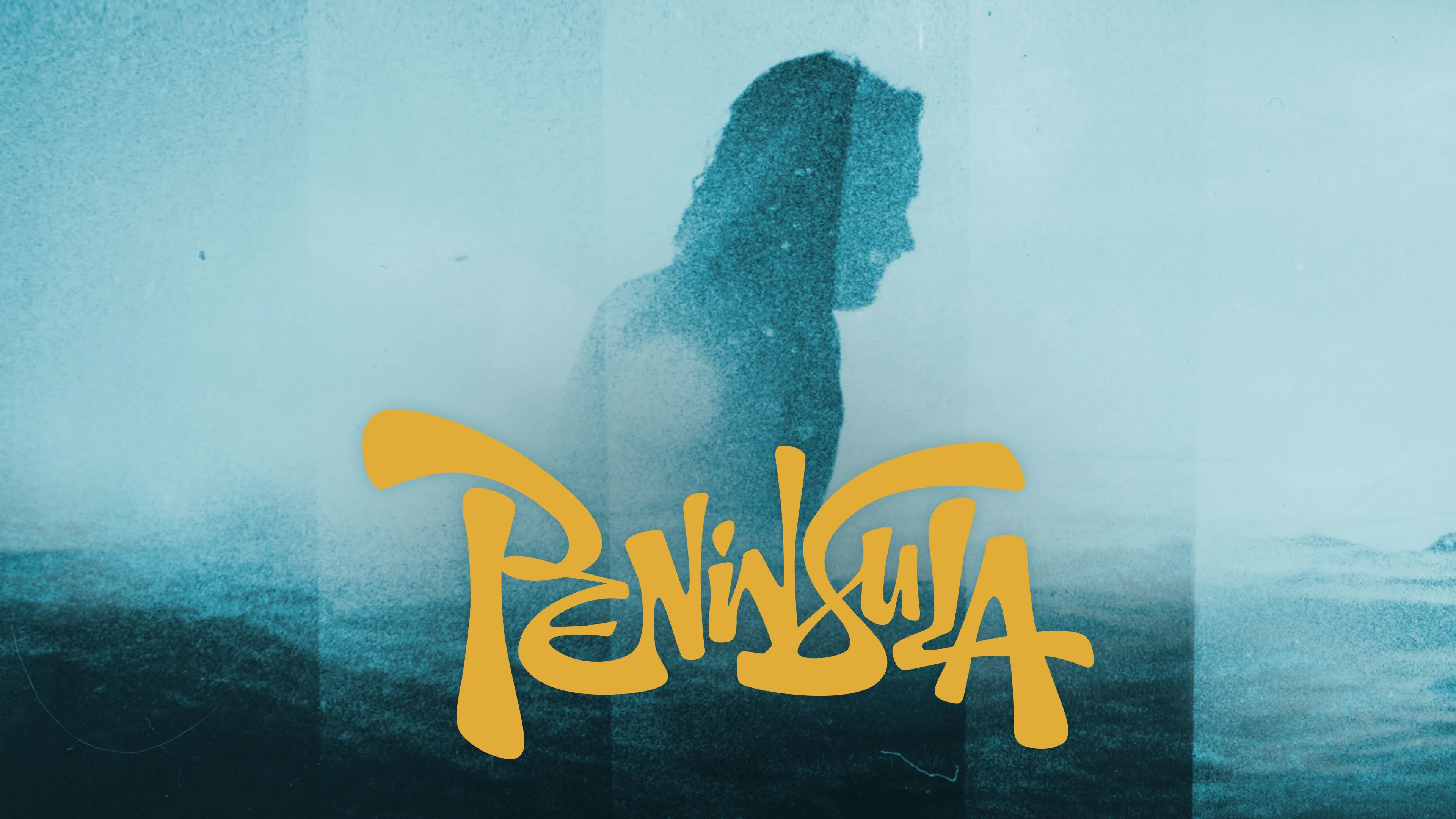 Peninsula (2014)