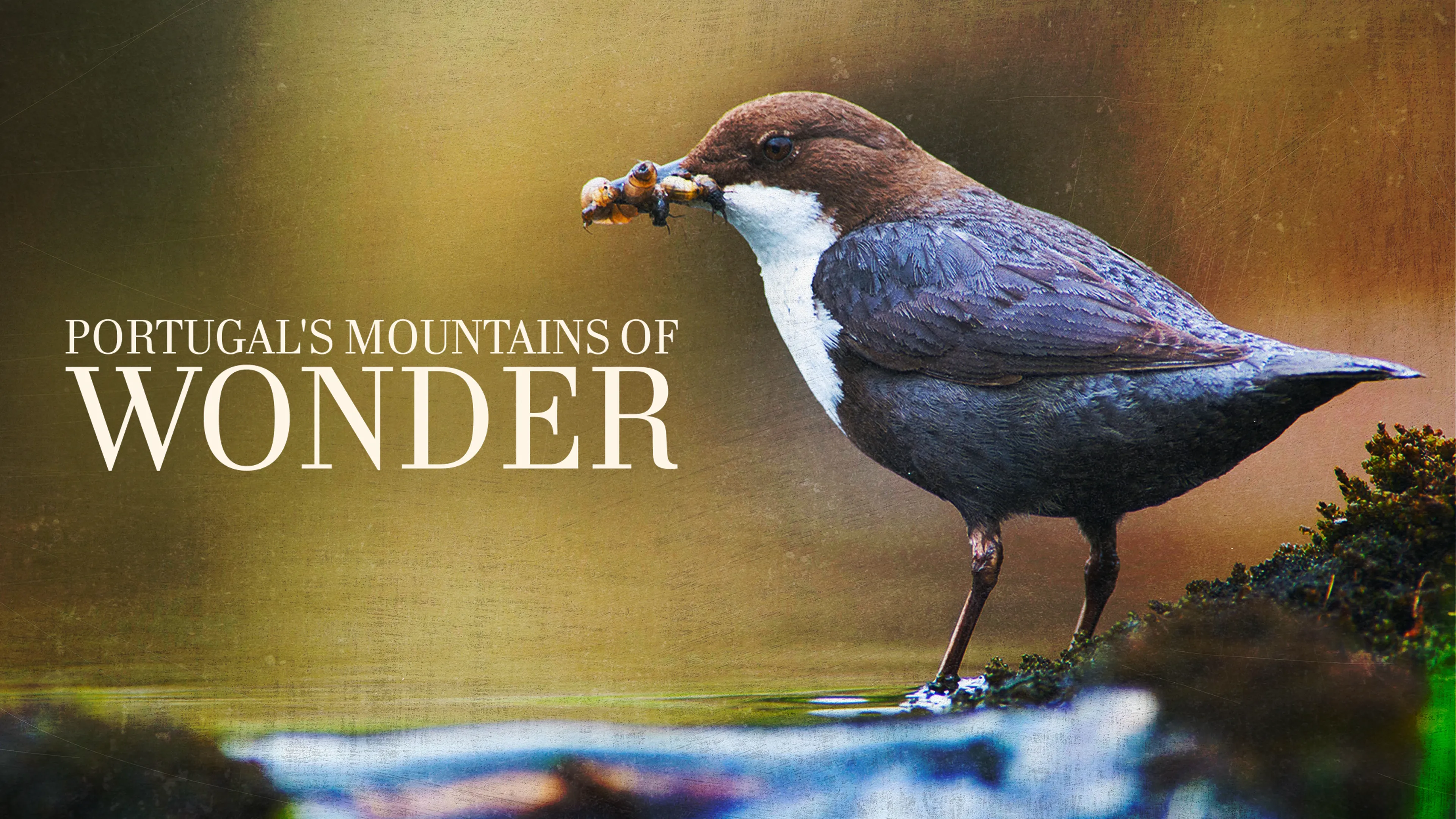 Portugal's Mountains of Wonder (2016)