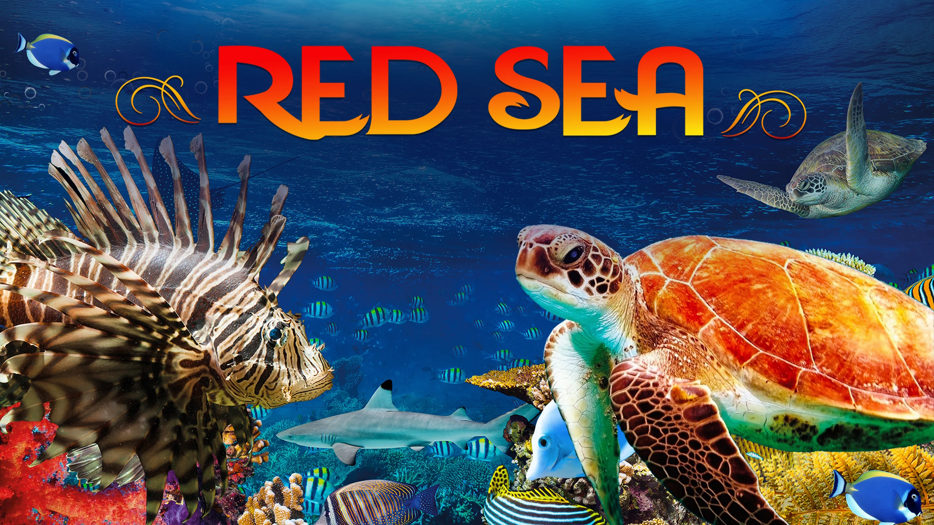 Red Sea (2016)