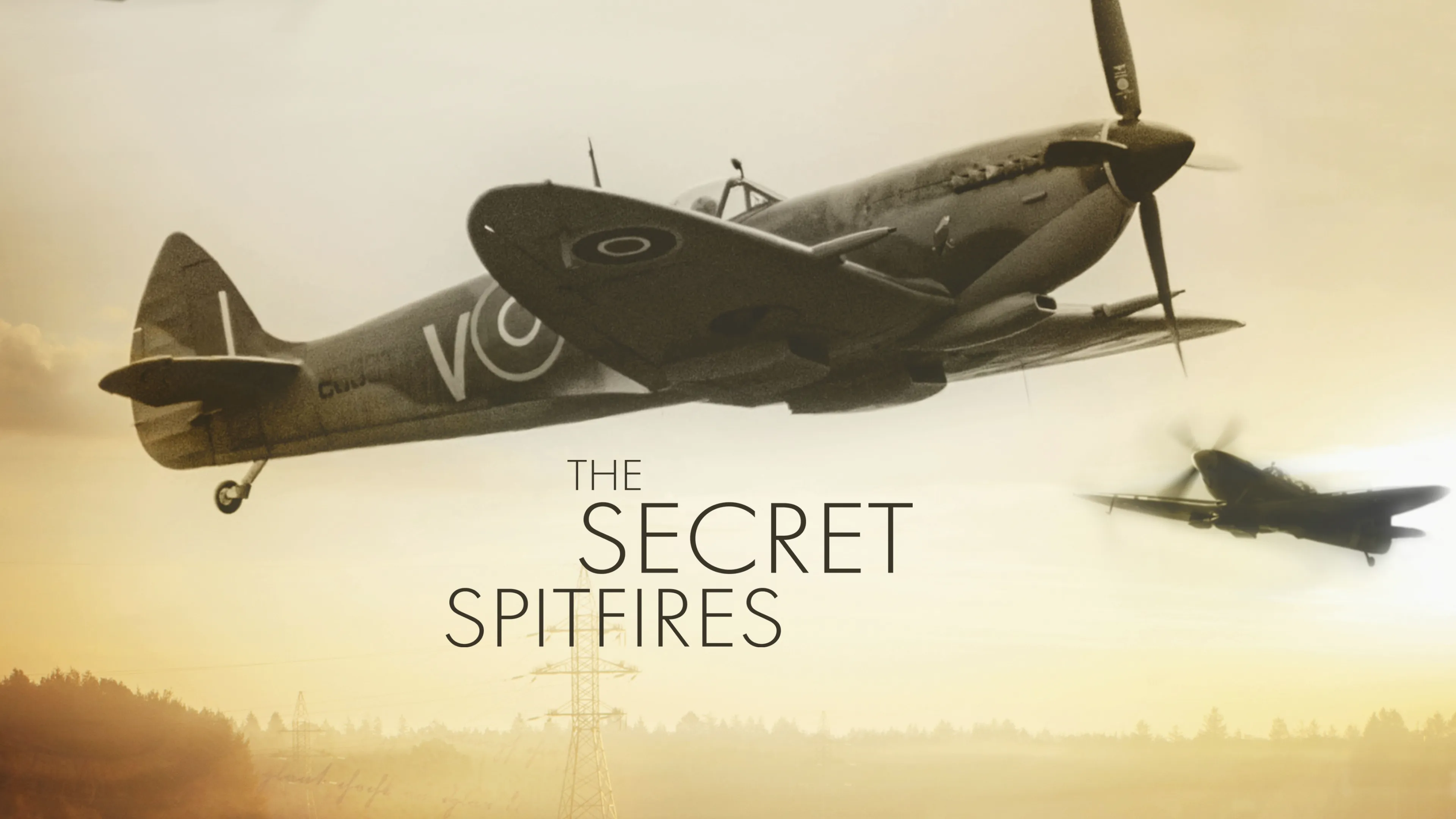 Secret of the Spitfires (2016)