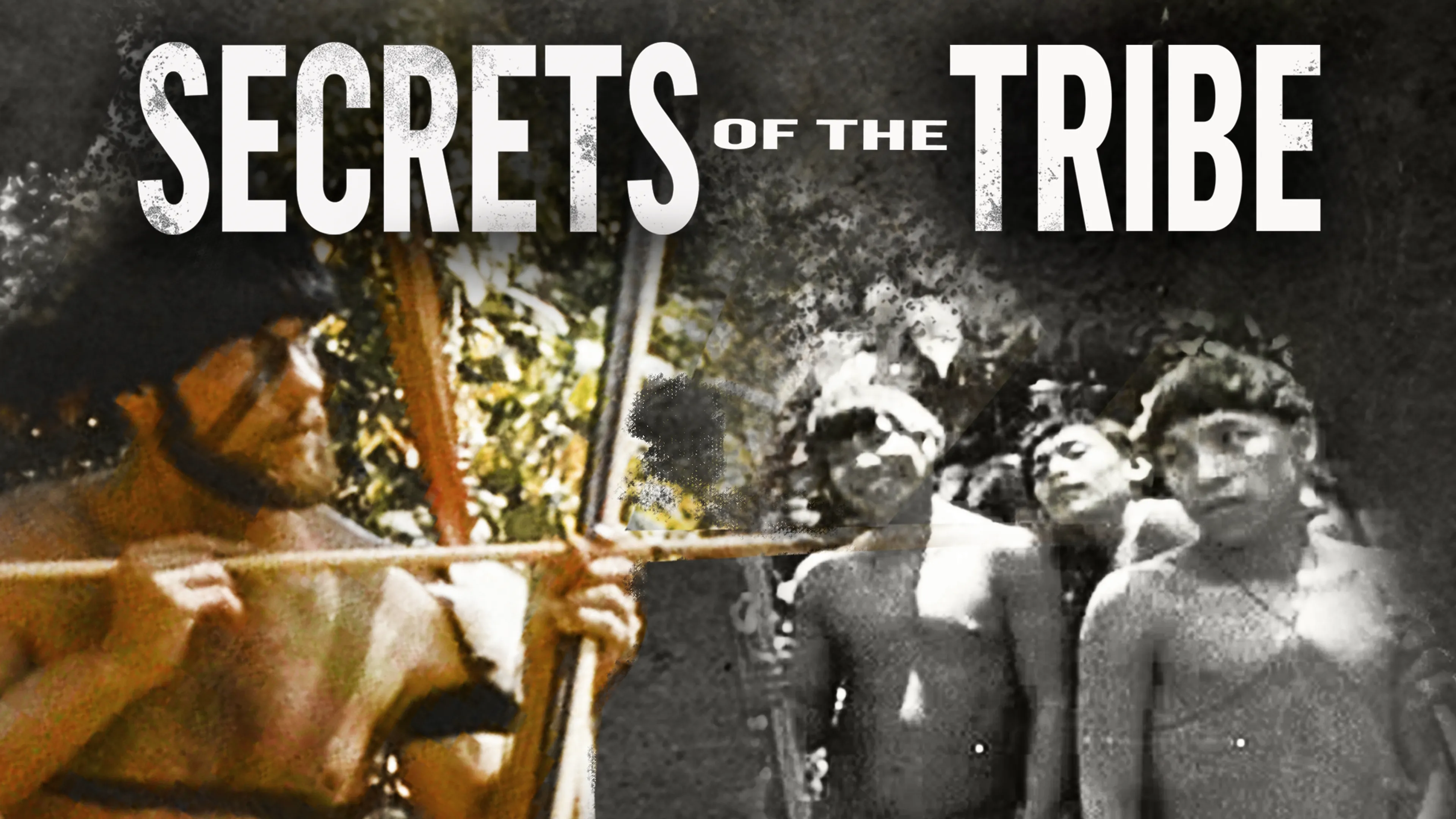 Secrets of the Tribe (2010)