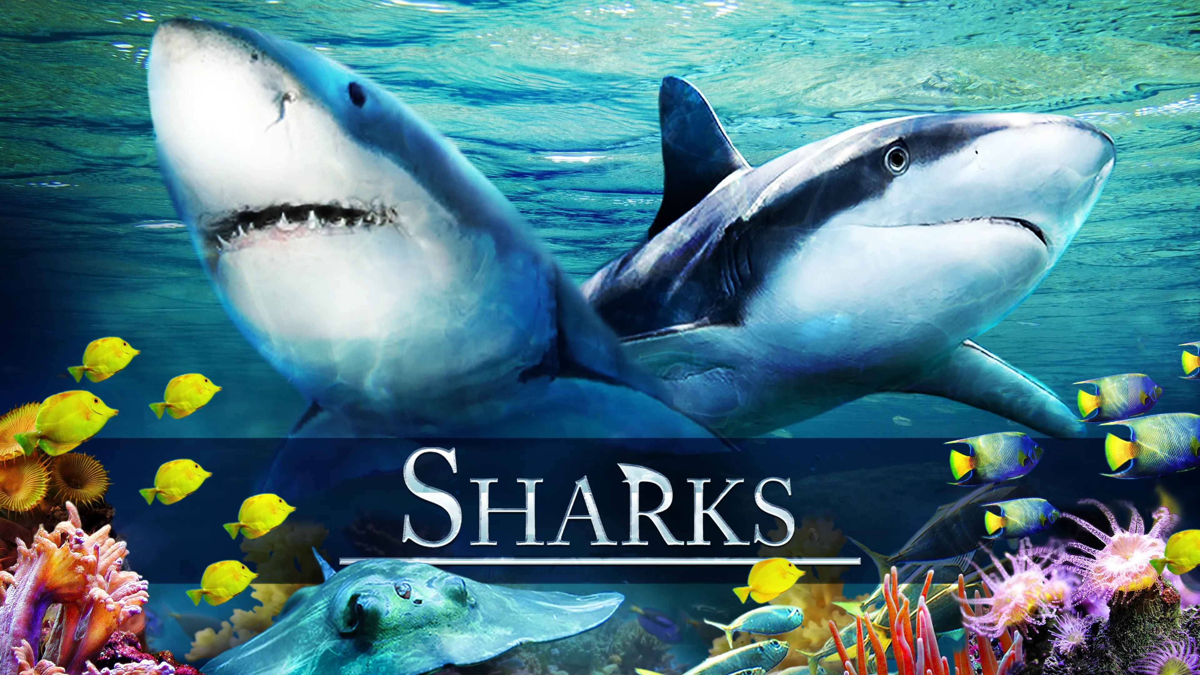 Sharks (2012)