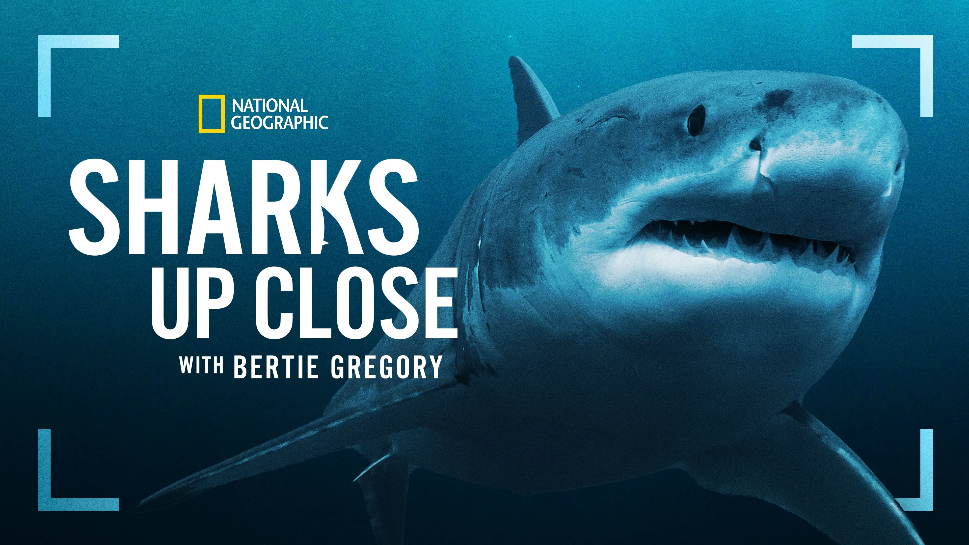 Sharks Up Close with Bertie Gregory (2025)