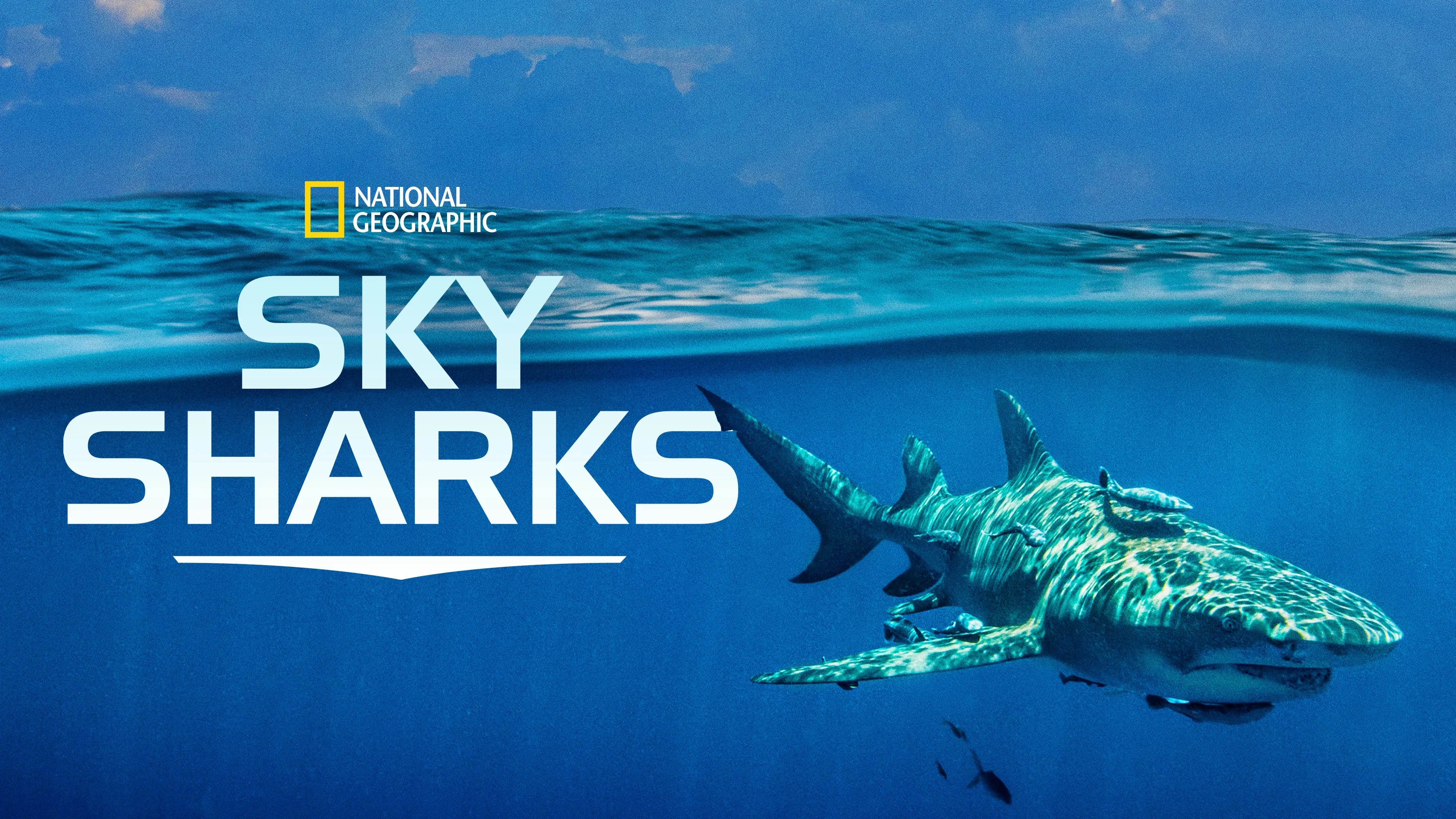 Sky Sharks (2022)