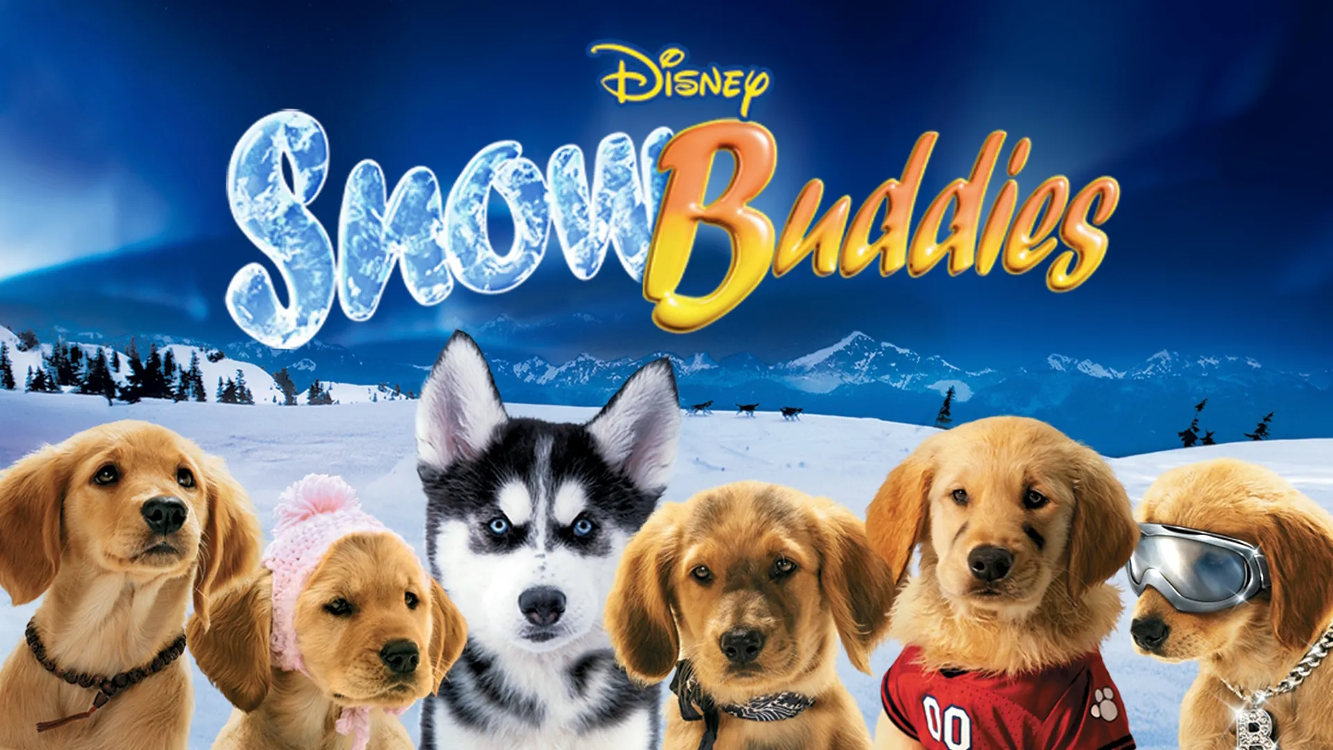 Snow Buddies (2008)
