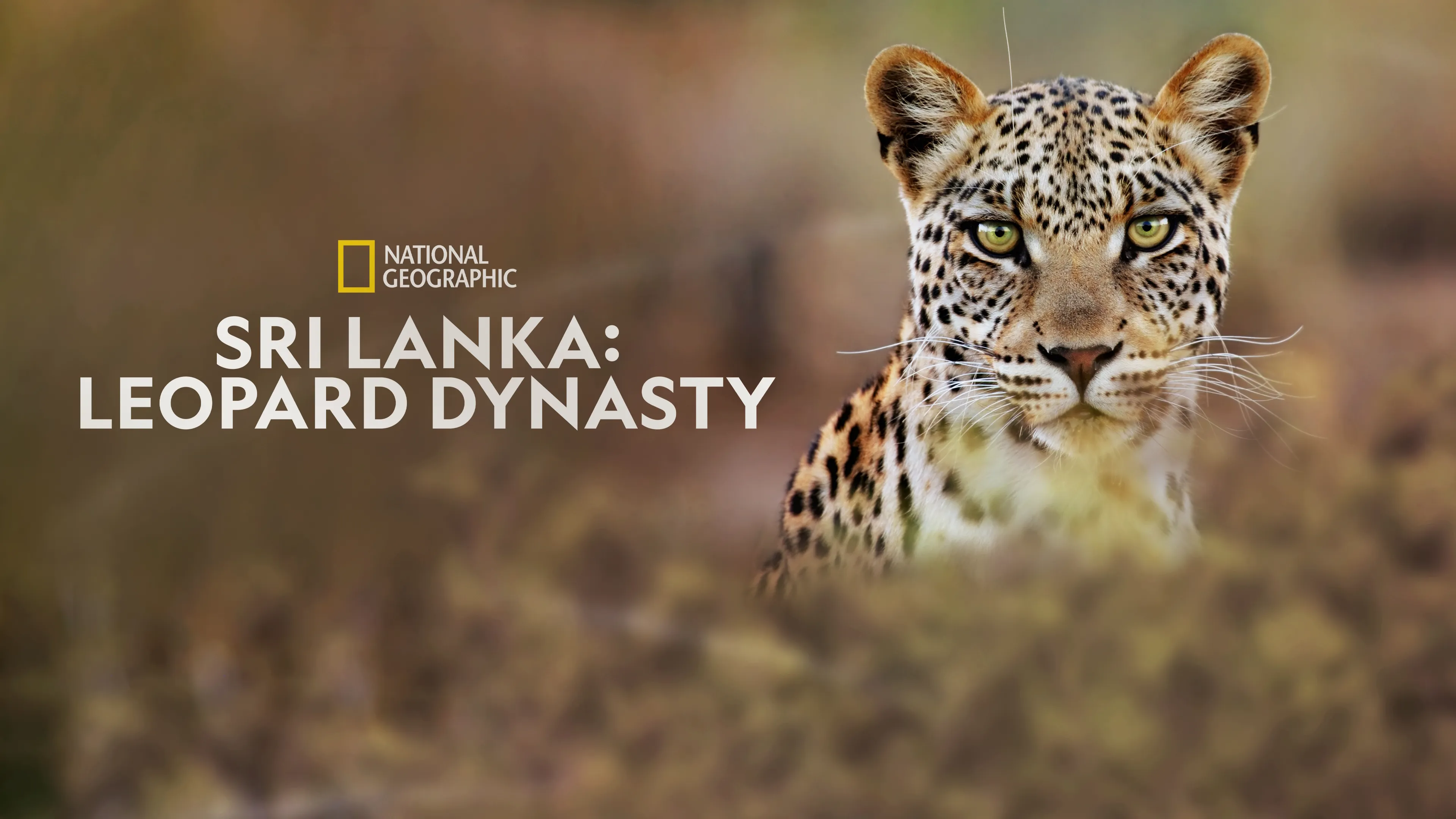 Sri Lanka: Leopard Dynasty (2022)