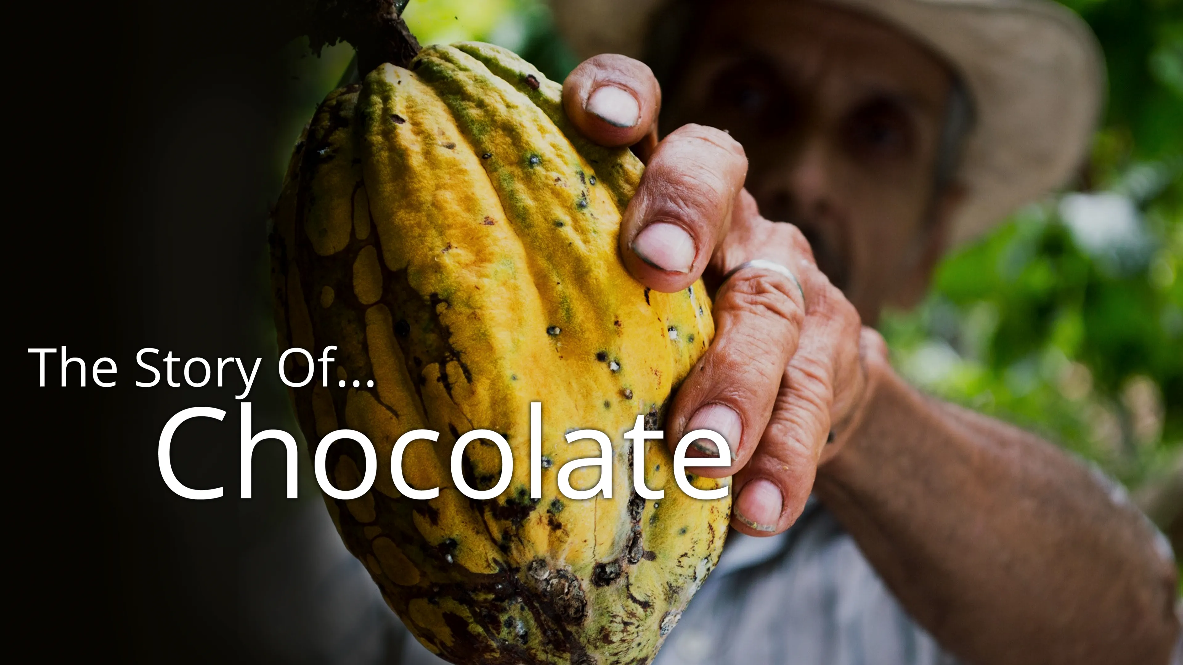 Story of... Chocolate (2017)