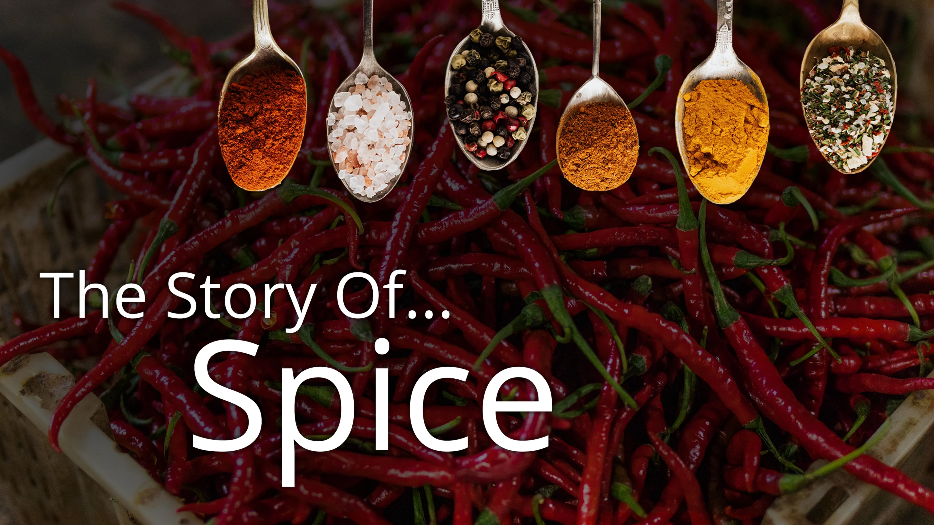 Story of... Spice (2016)
