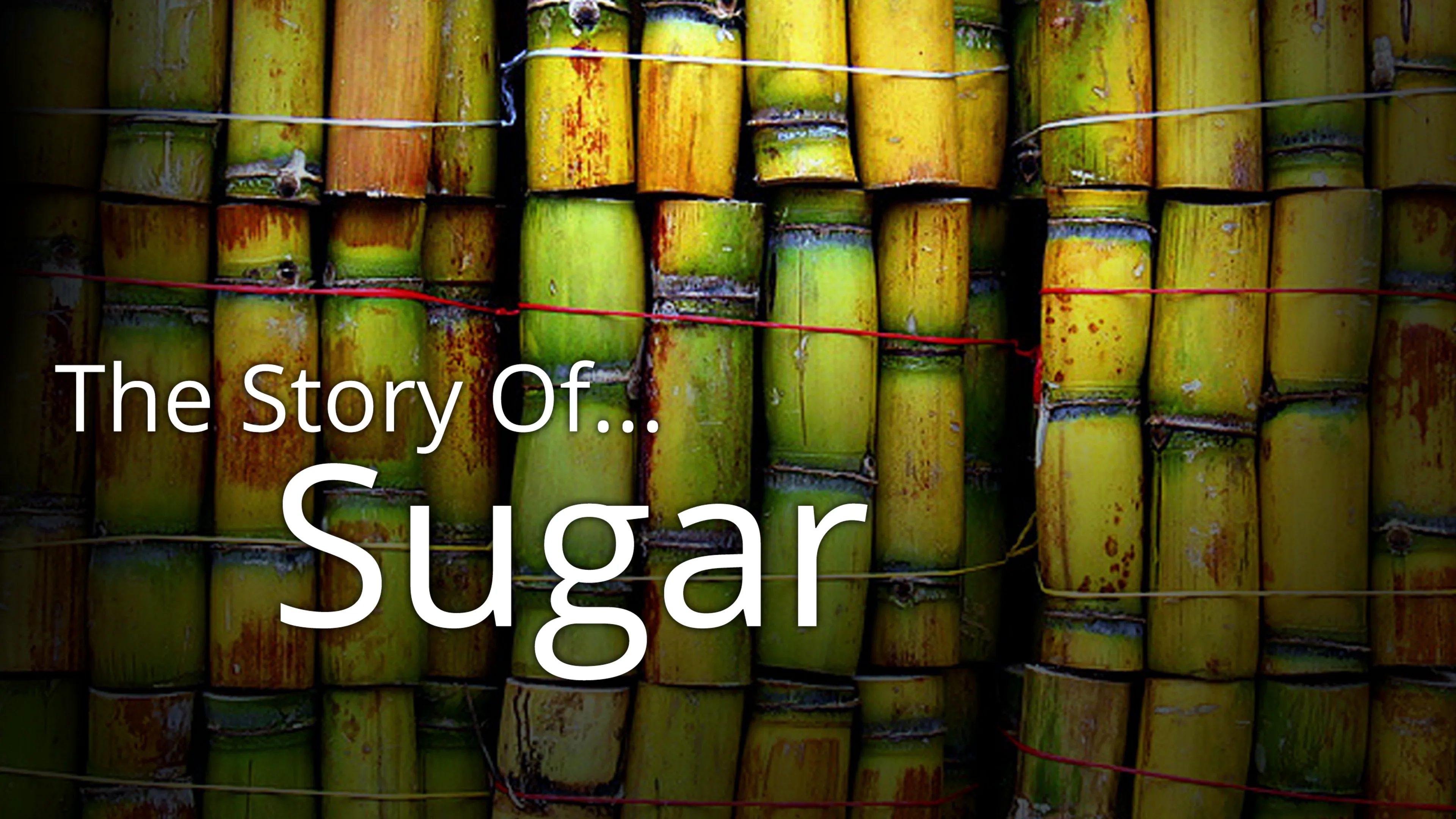 Story of... Sugar (2016)