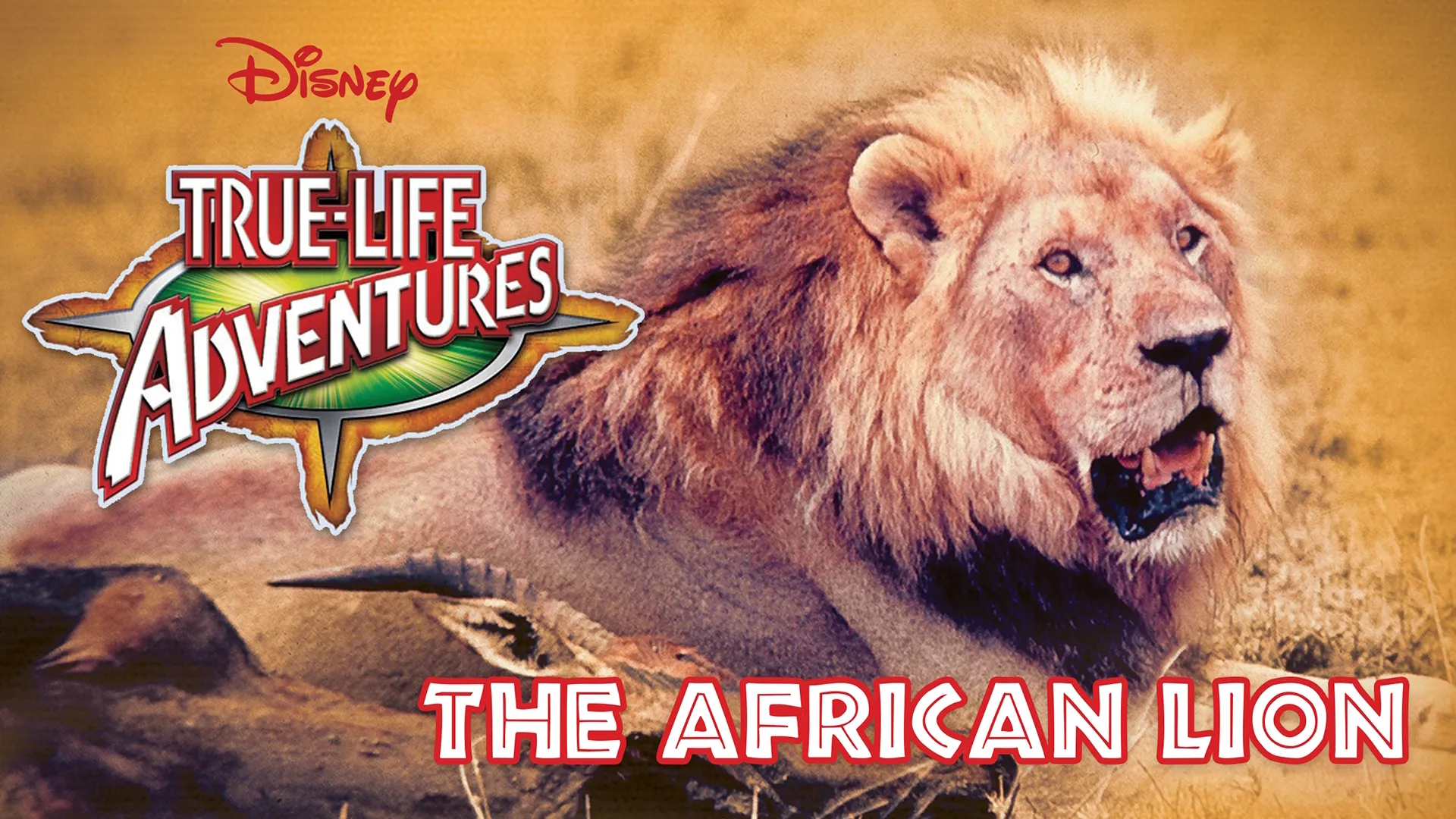 The African Lion (1955)